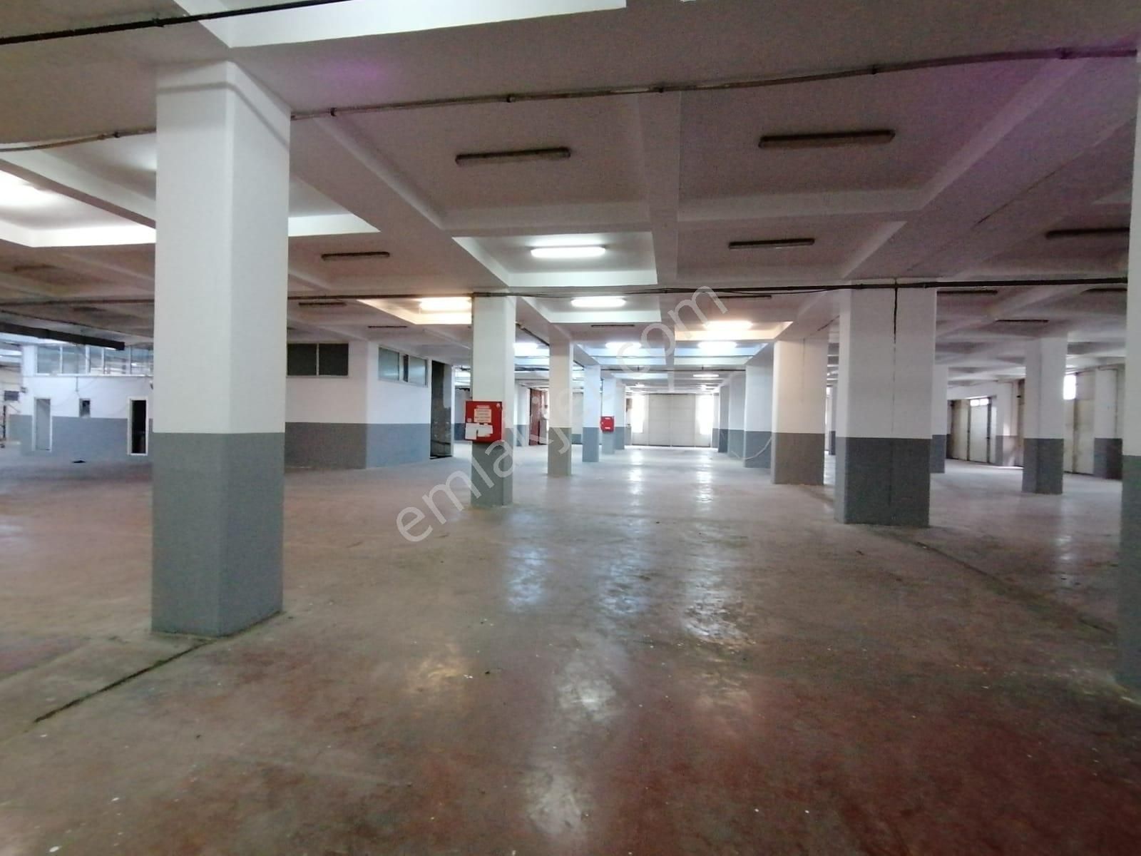 Tuzla İtosb Osb'de 4000 M2+100 Kwa Enerjili Kiralık Fabrika - Görsel 2