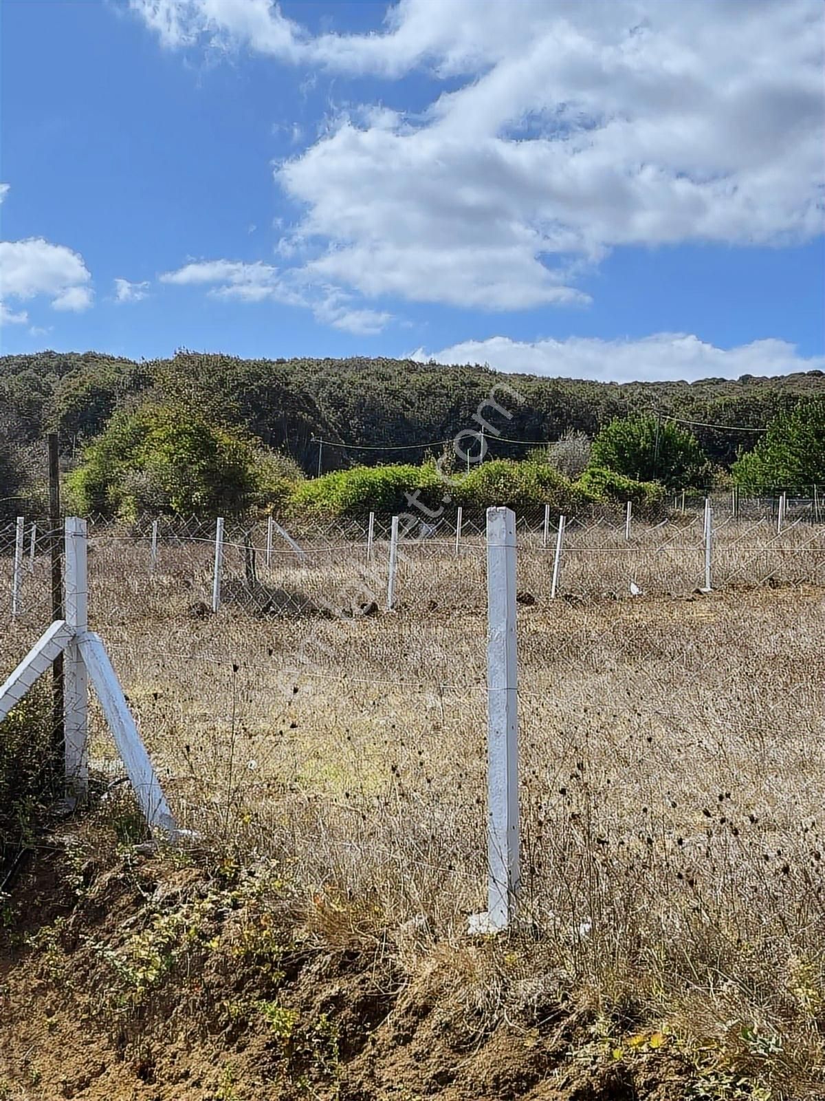 Çatlca Çiftlikköy 194 M2 Arsa 1+1 Konteynır Elektrik Var Zirve - Görsel 5