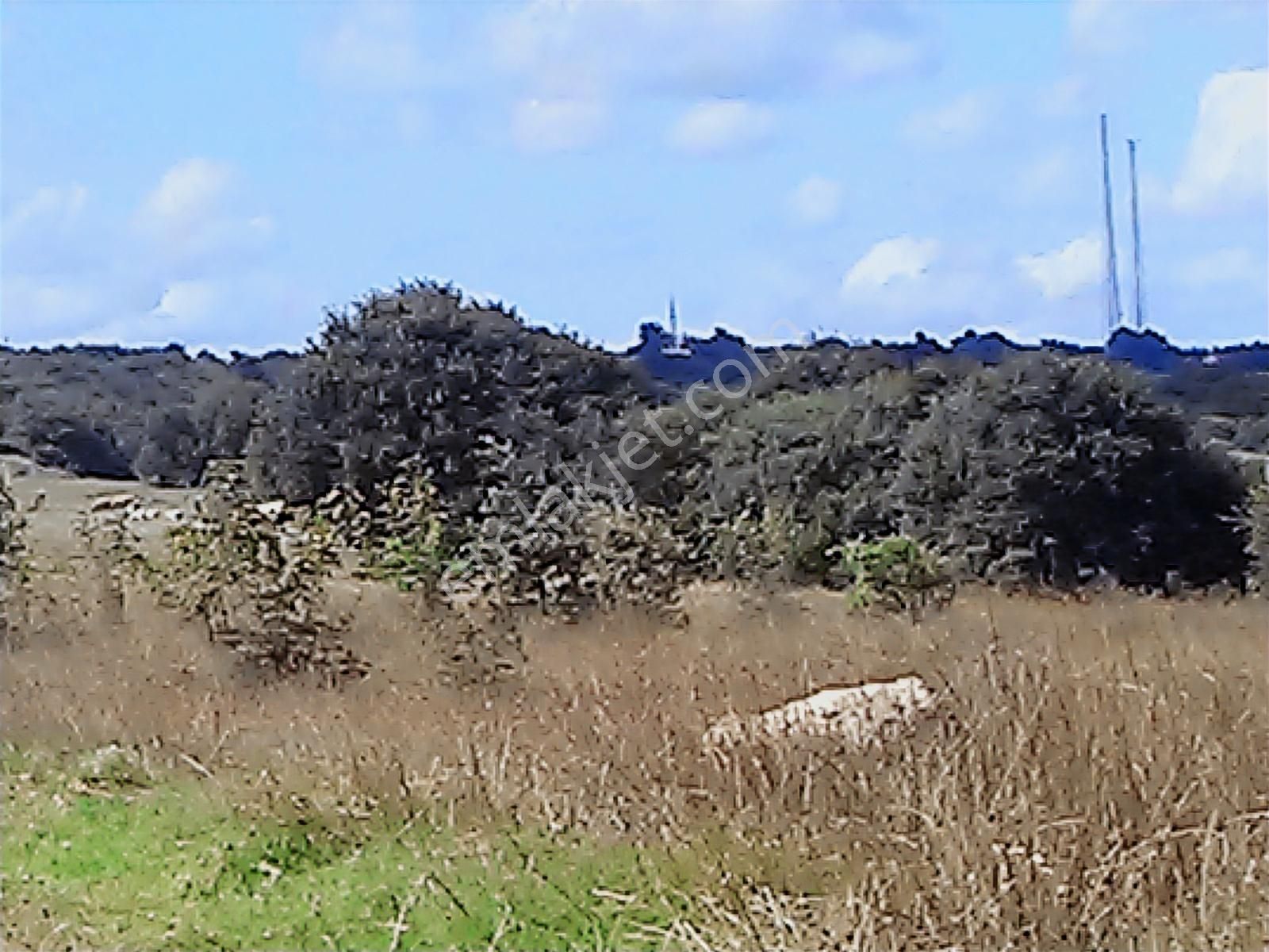 Silivri Büyüksinekli'de 7025 M2 Satılık Arsa - Görsel 2