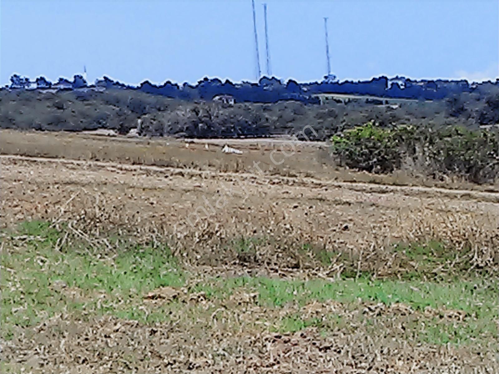 Silivri Büyüksinekli'de 7025 M2 Satılık Arsa