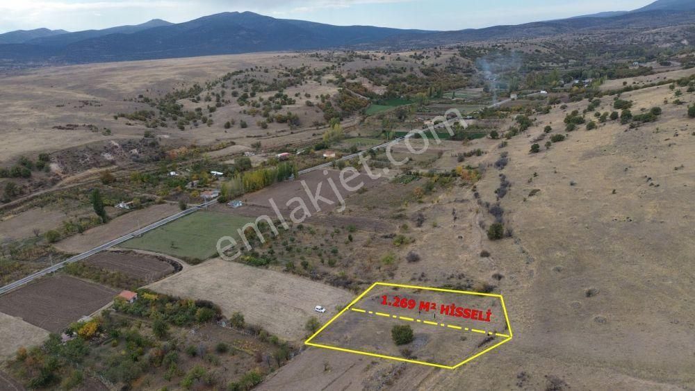 Çomaklar Da 1.269 M2 Hisseli Tapu Devirli Bahçelik - Görsel 2