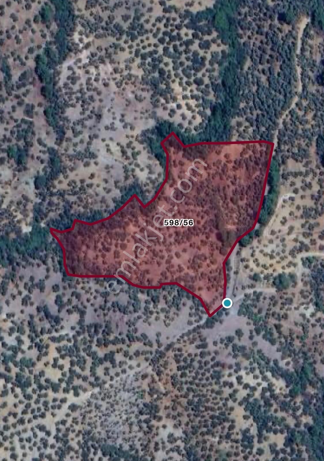 Narlı Köyü’nde | Yüksek Verim | 22.664m2 Zeytinlik - Görsel 20