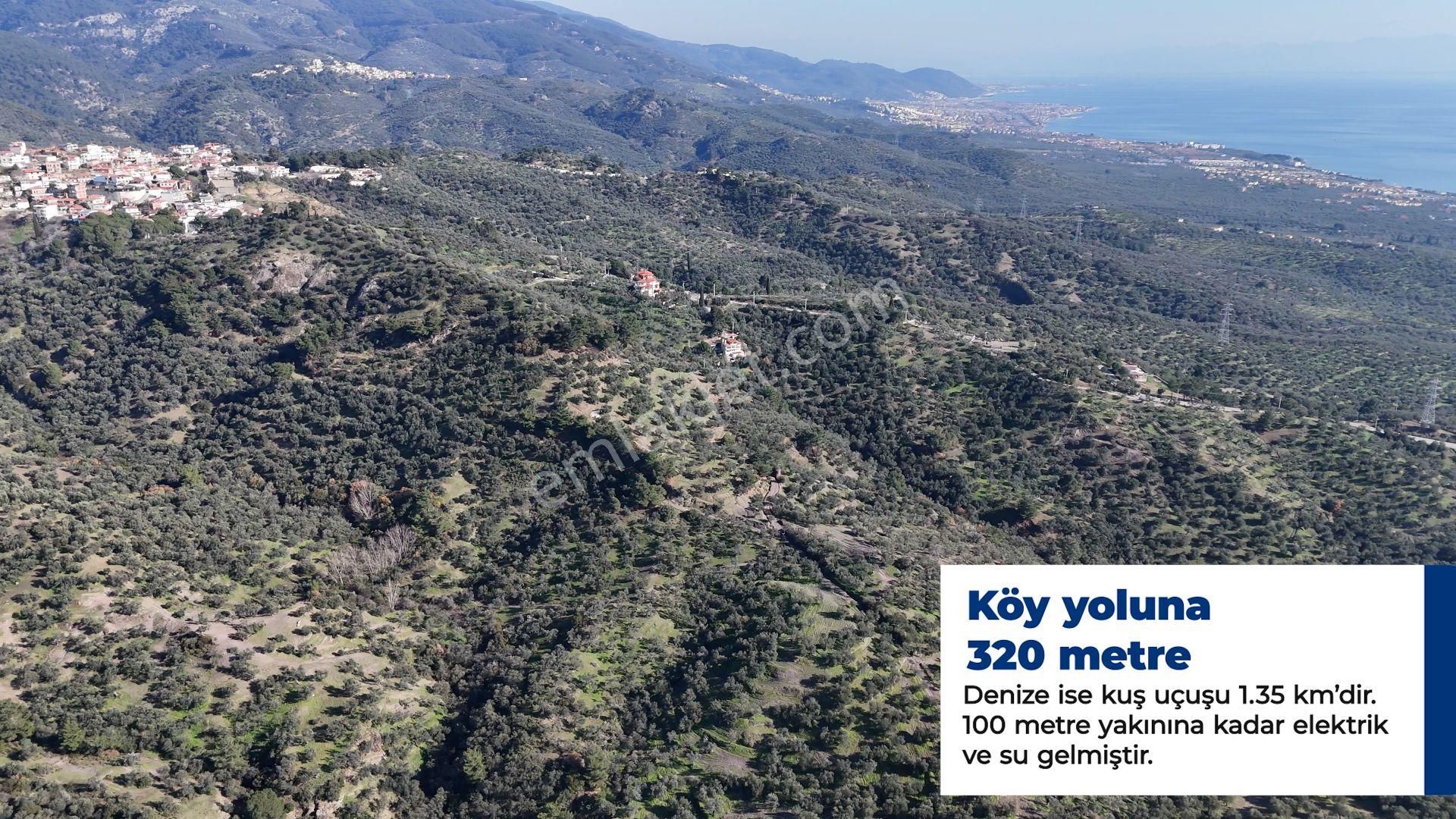 Narlı Köyü’nde | Yüksek Verim | 22.664m2 Zeytinlik - Görsel 8
