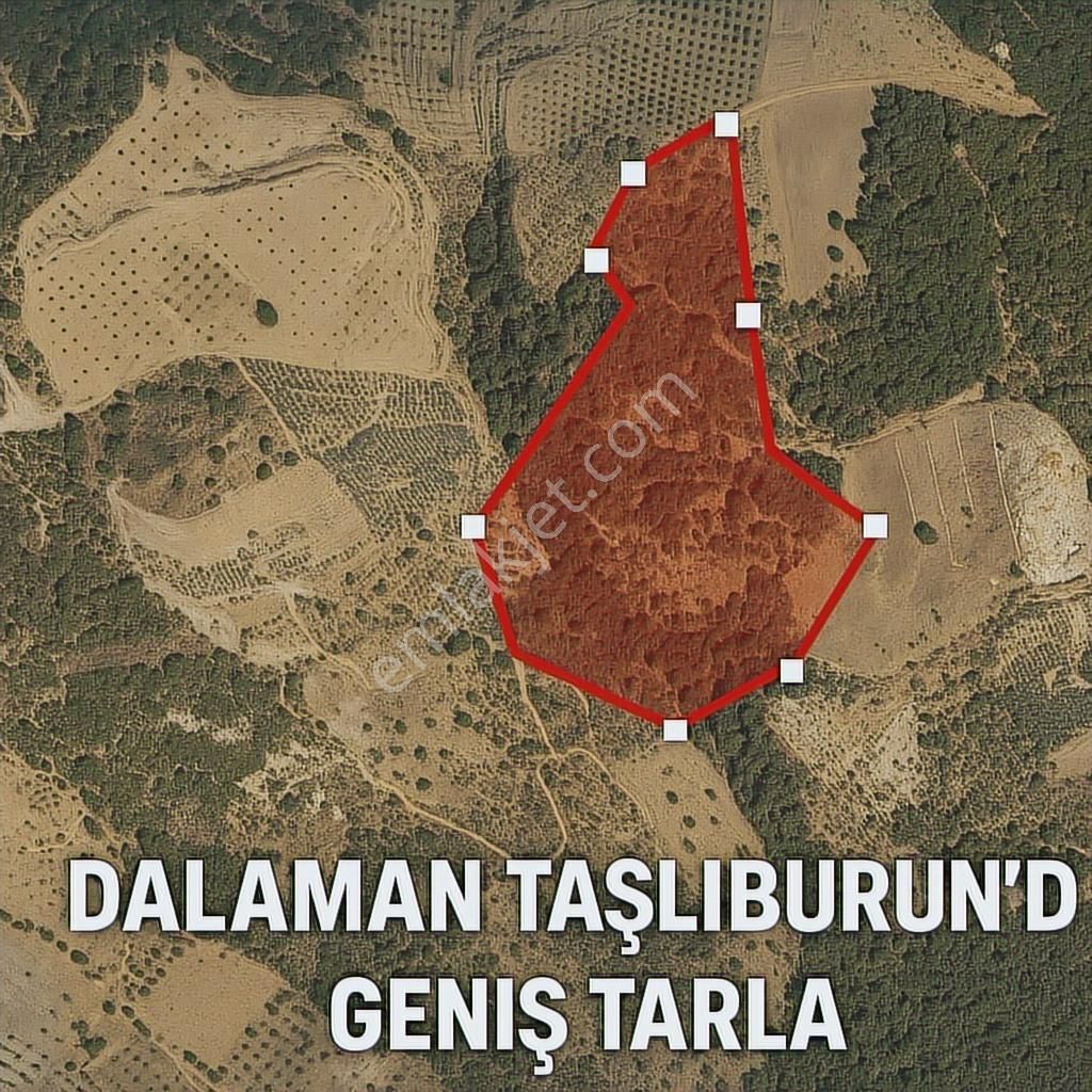 Geleceğinize Yatırım Yapın Dalamanda Büyük Arazi