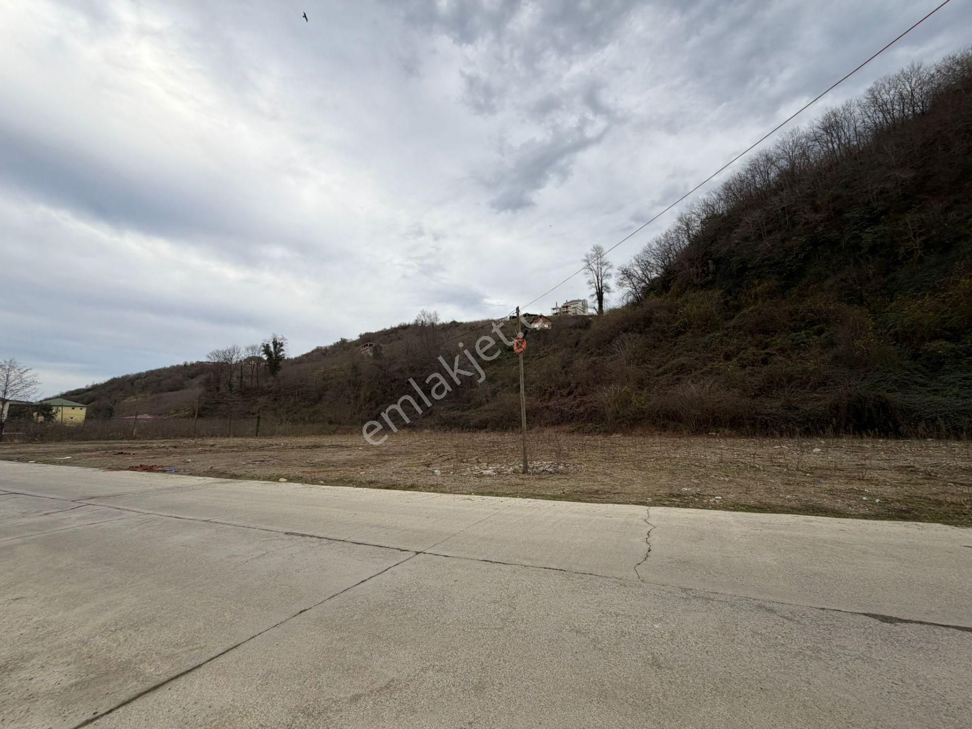 Trabzon Araklı Taşönü Mahallesi 4.883 M2 Satılık Ticari Arsa