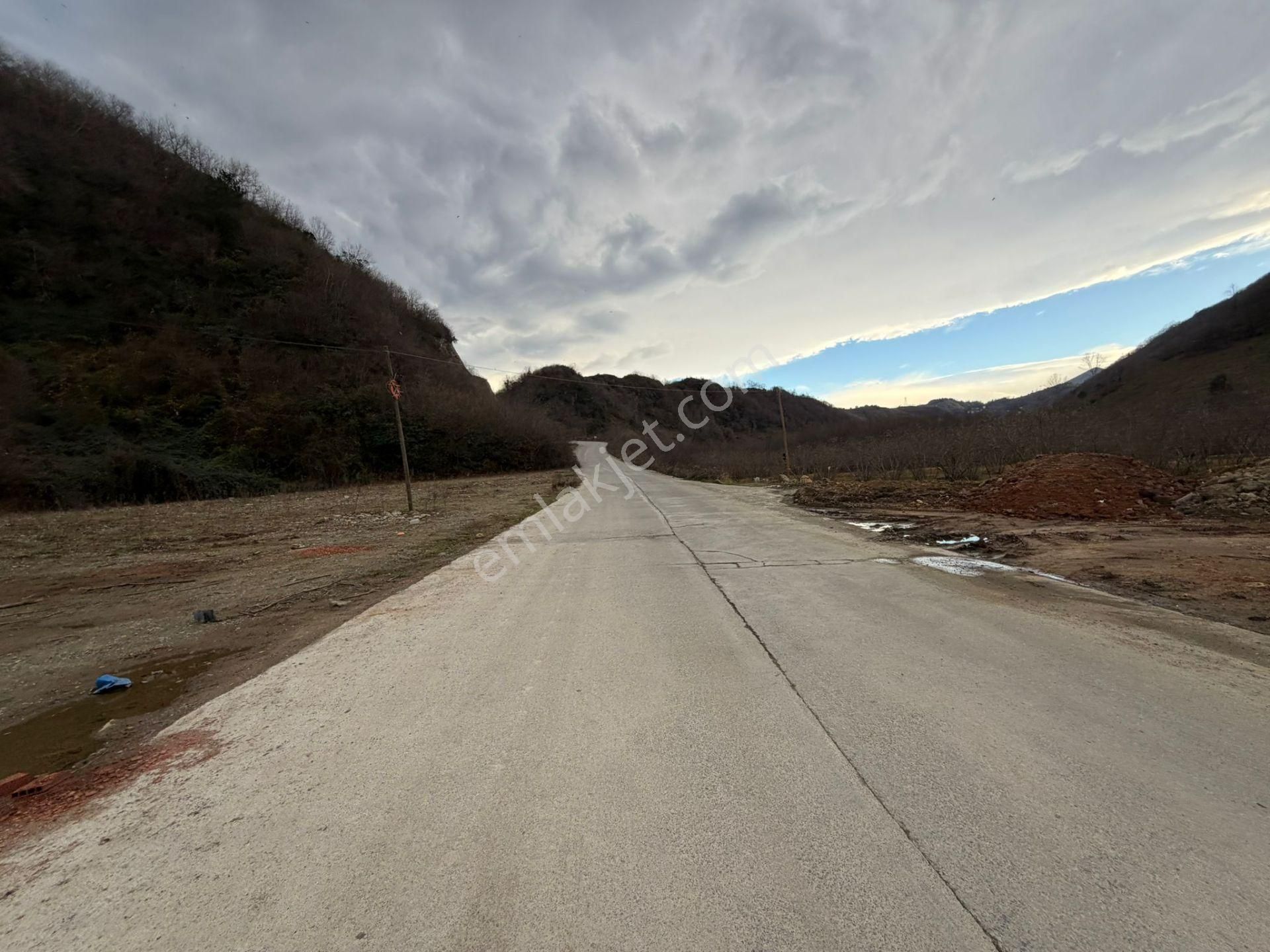 Trabzon Araklı Taşönü Mahallesi 4.883 M2 Satılık Ticari Arsa - Görsel 6