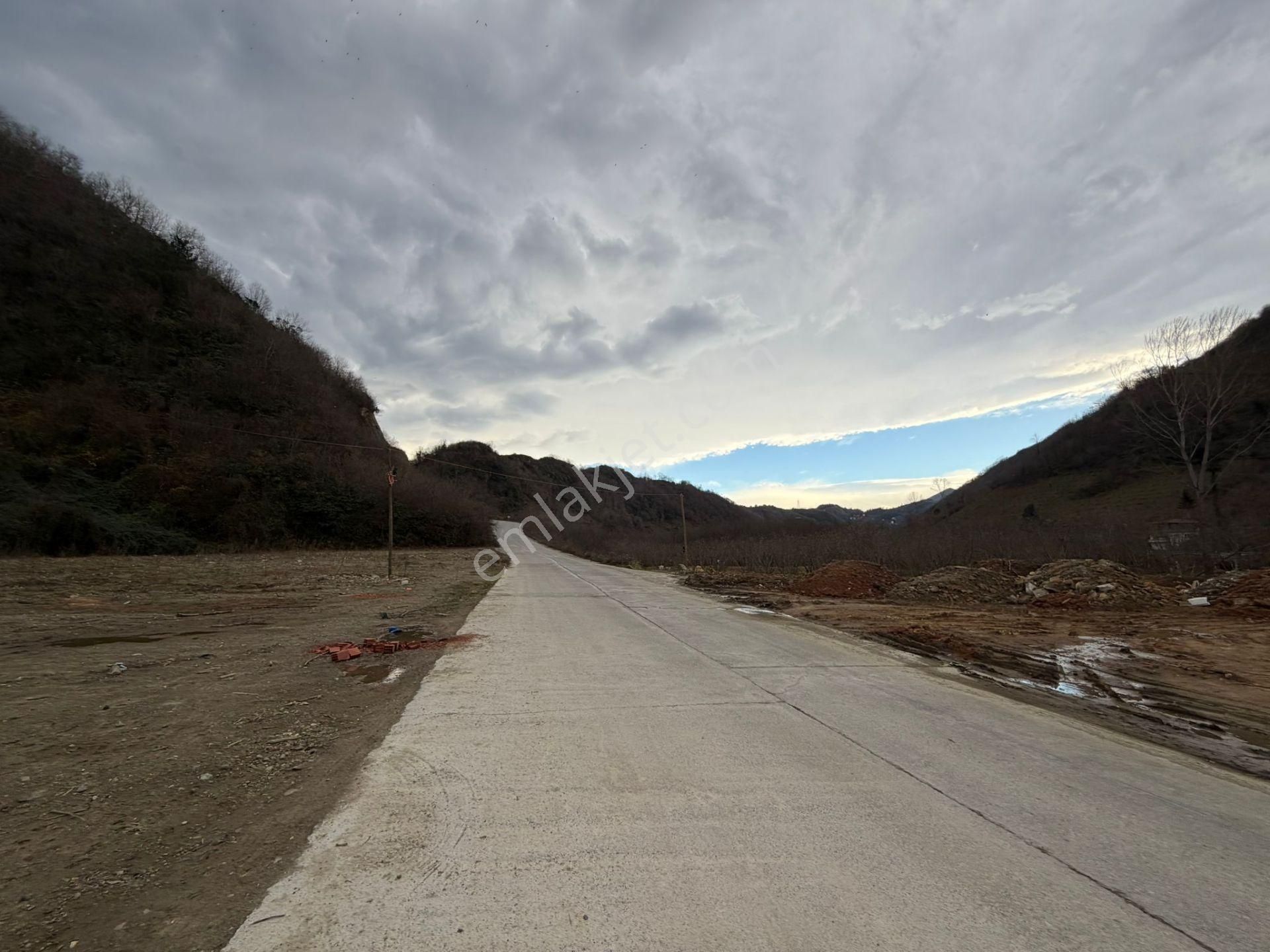 Trabzon Araklı Taşönü Mahallesi 4.883 M2 Satılık Ticari Arsa - Görsel 7