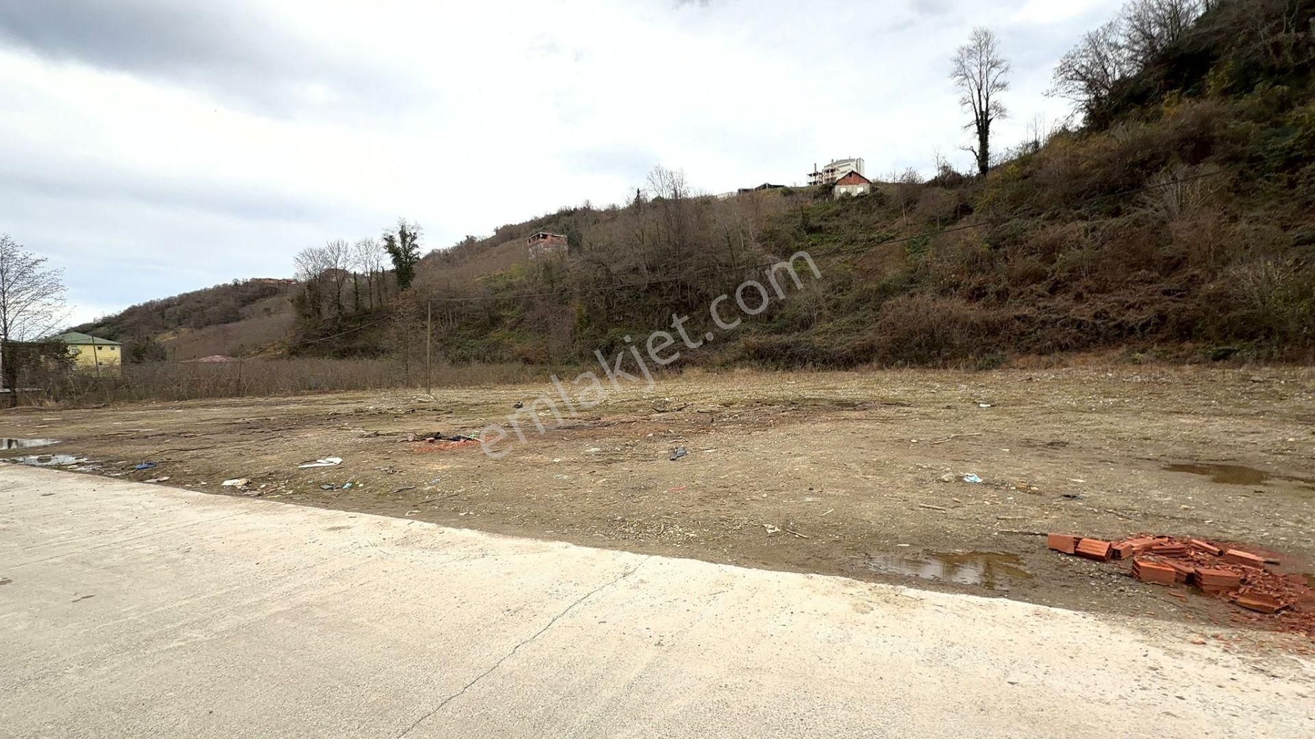 Trabzon Araklı Taşönü Mahallesi 4.883 M2 Satılık Ticari Arsa - Görsel 4