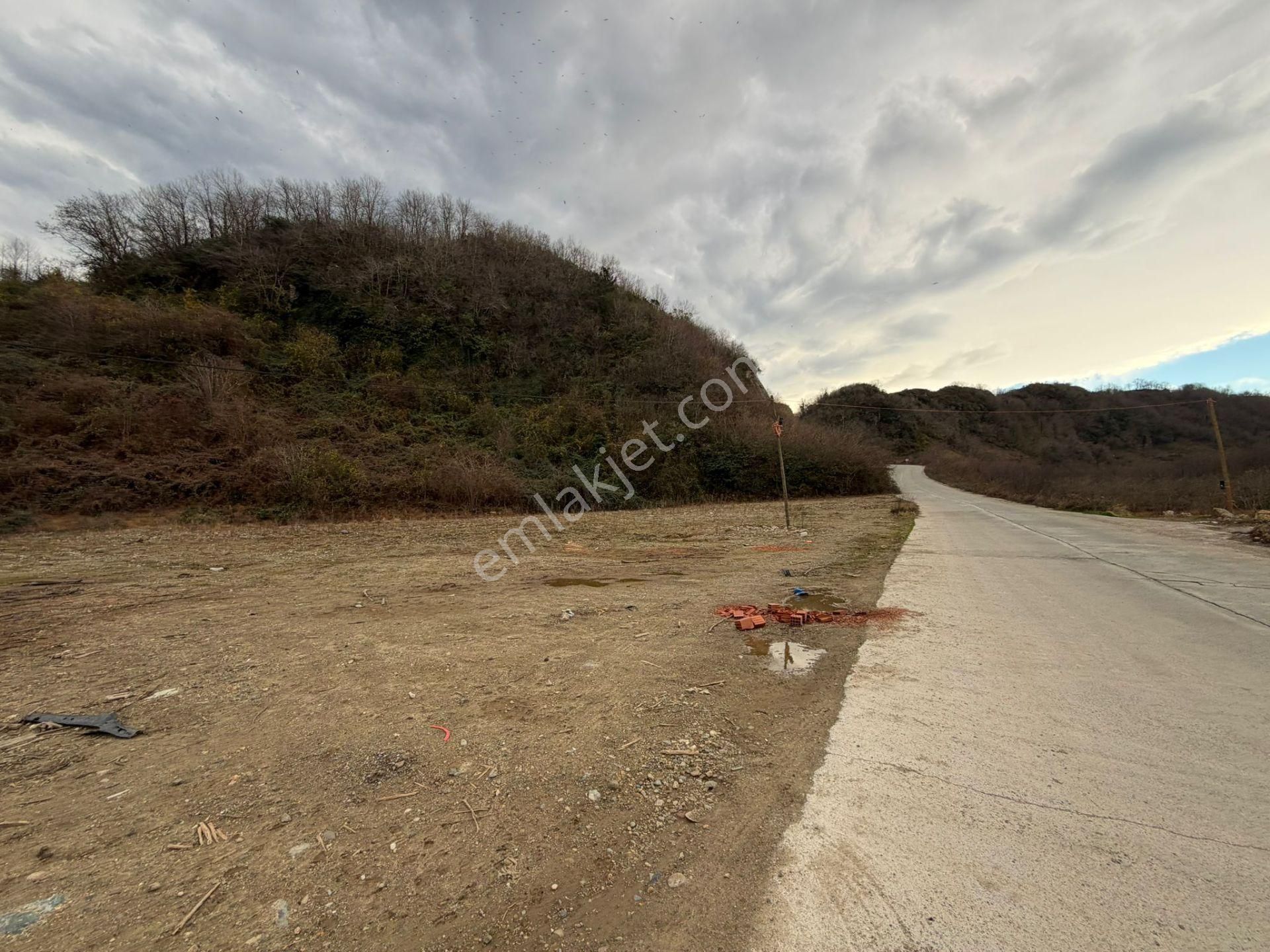 Trabzon Araklı Taşönü Mahallesi 4.883 M2 Satılık Ticari Arsa - Görsel 5
