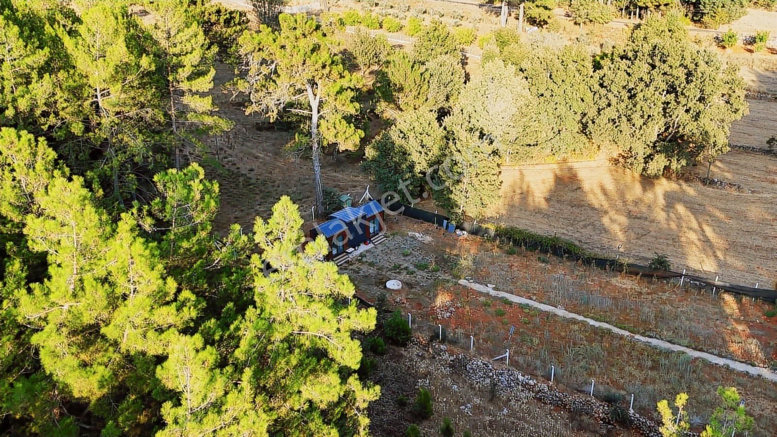 Cb Marina'dan Doğa İle İç İçe 1.214m2 Tarla Ve 2+1 Tiny House - Görsel 34