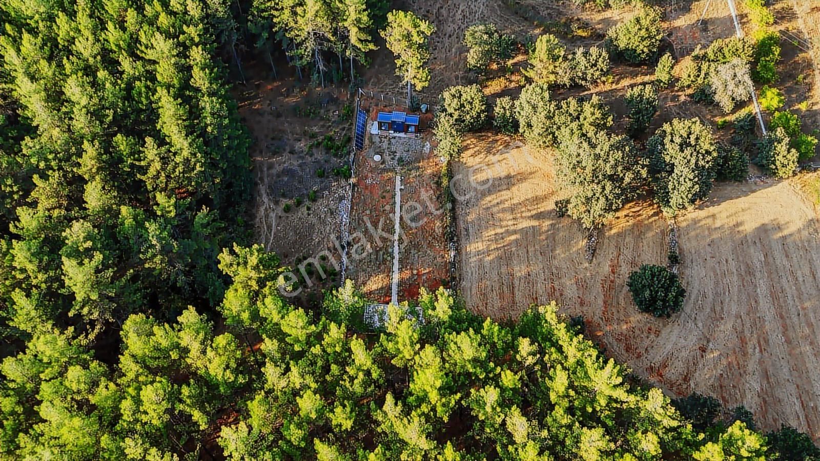 Cb Marina'dan Doğa İle İç İçe 1.214m2 Tarla Ve 2+1 Tiny House - Görsel 5