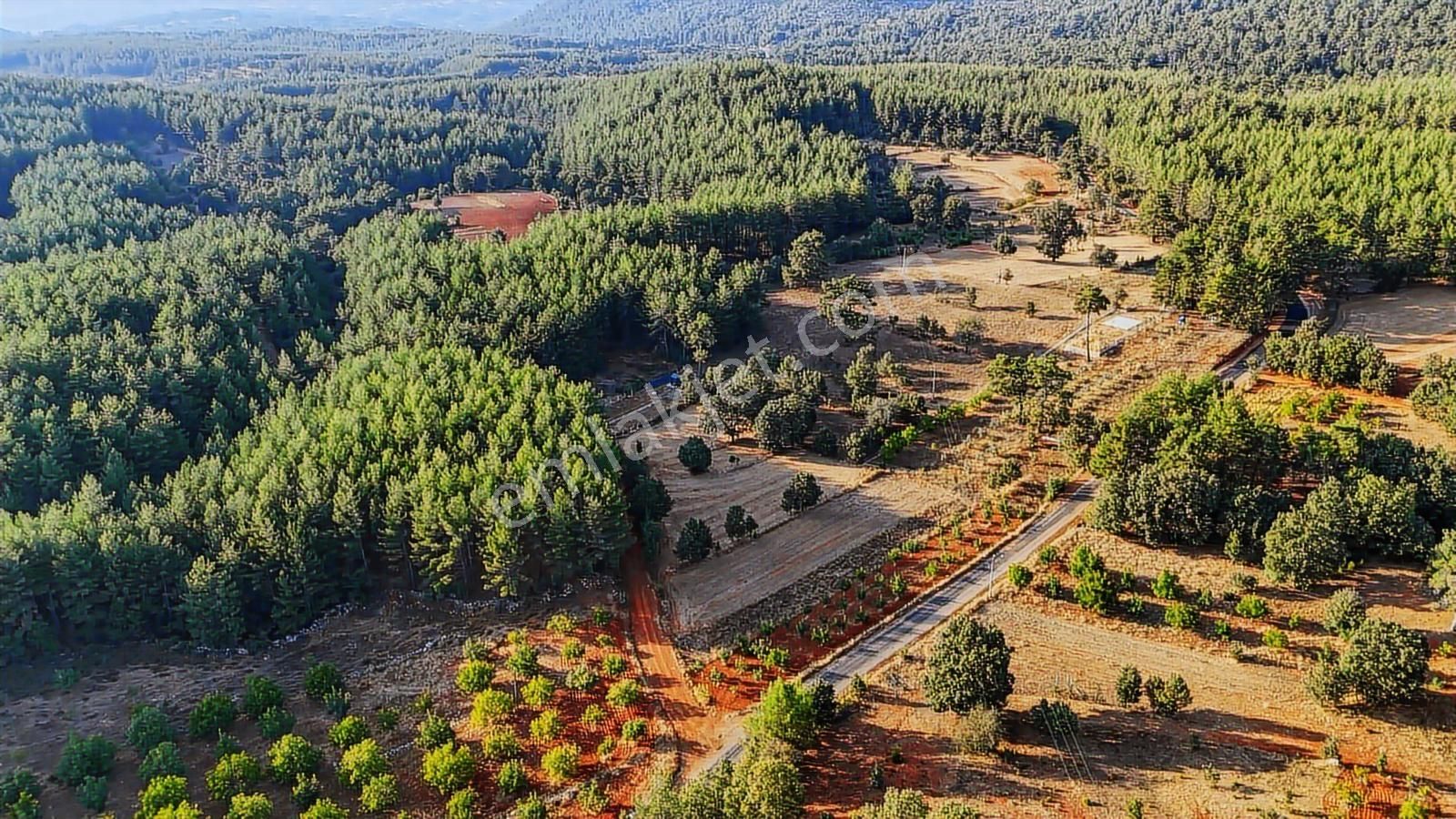 Cb Marina'dan Doğa İle İç İçe 1.214m2 Tarla Ve 2+1 Tiny House - Görsel 31