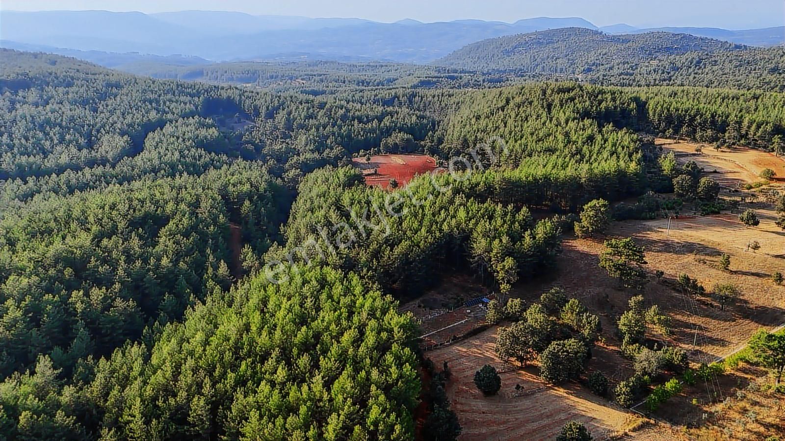 Cb Marina'dan Doğa İle İç İçe 1.214m2 Tarla Ve 2+1 Tiny House - Görsel 15