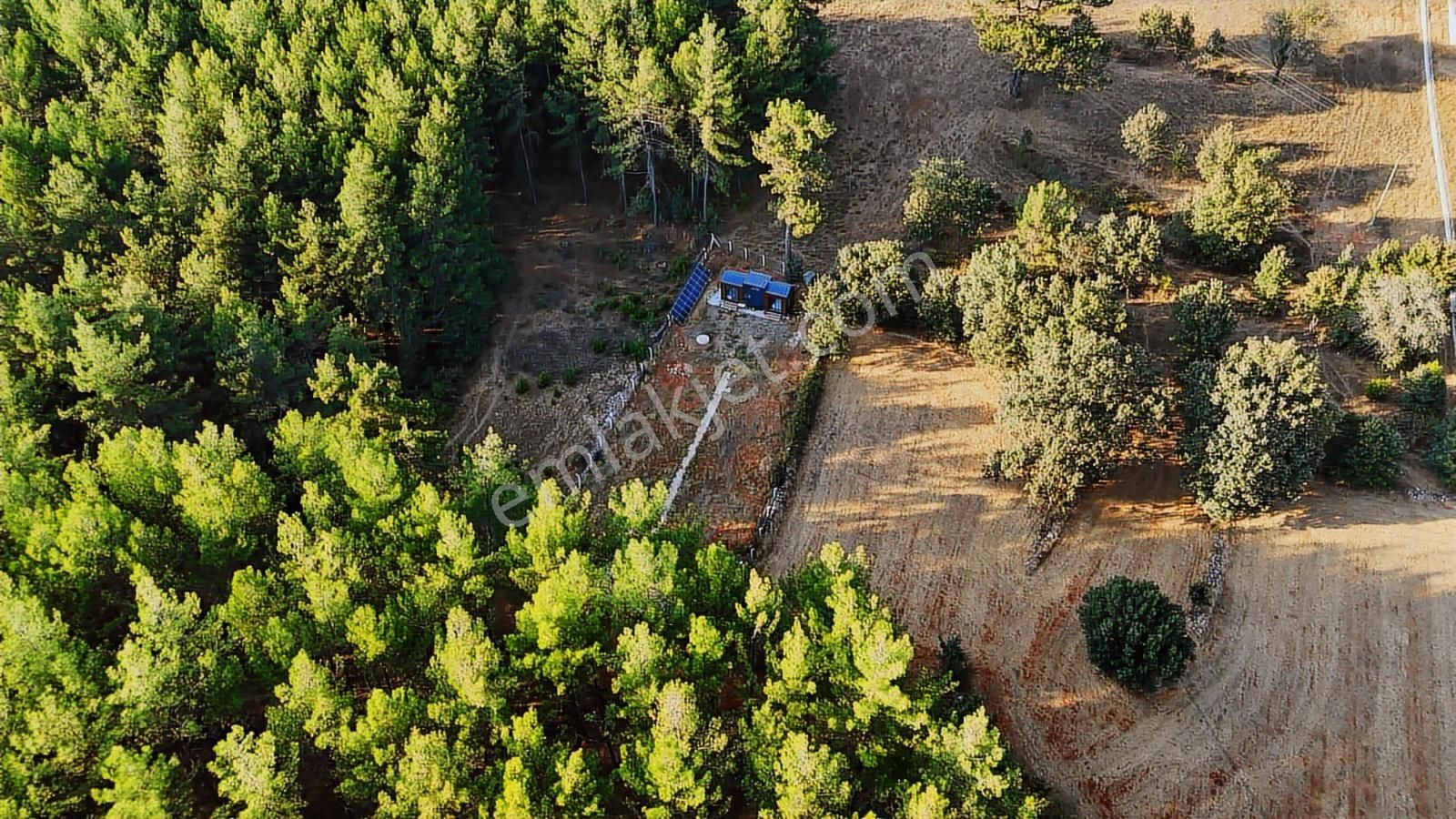 Cb Marina'dan Doğa İle İç İçe 1.214m2 Tarla Ve 2+1 Tiny House - Görsel 8