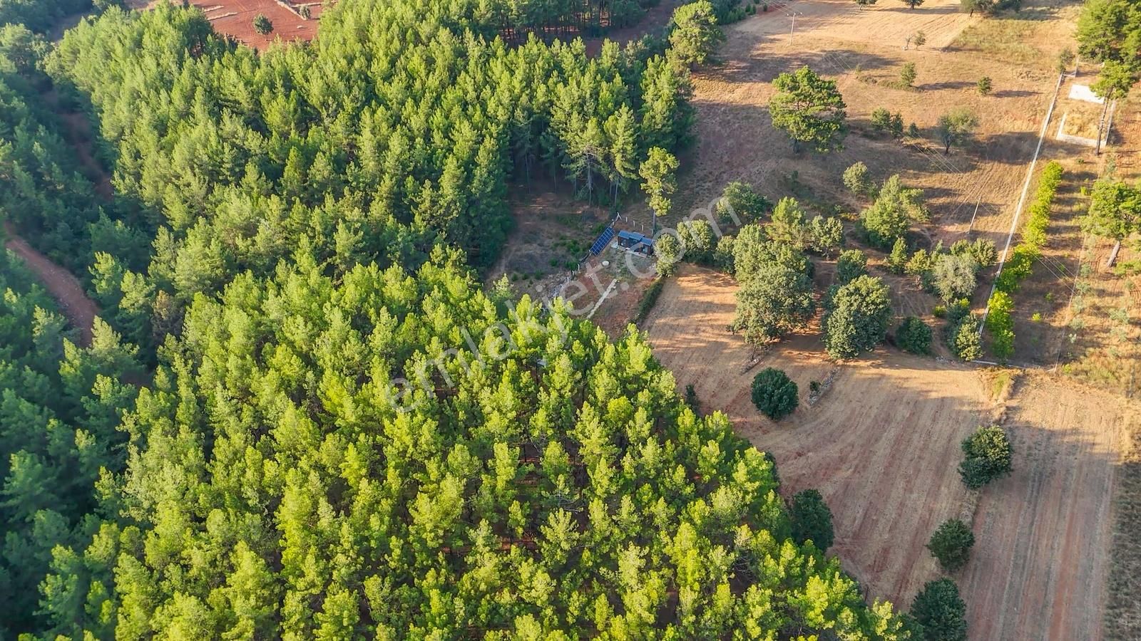 Cb Marina'dan Doğa İle İç İçe 1.214m2 Tarla Ve 2+1 Tiny House - Görsel 33