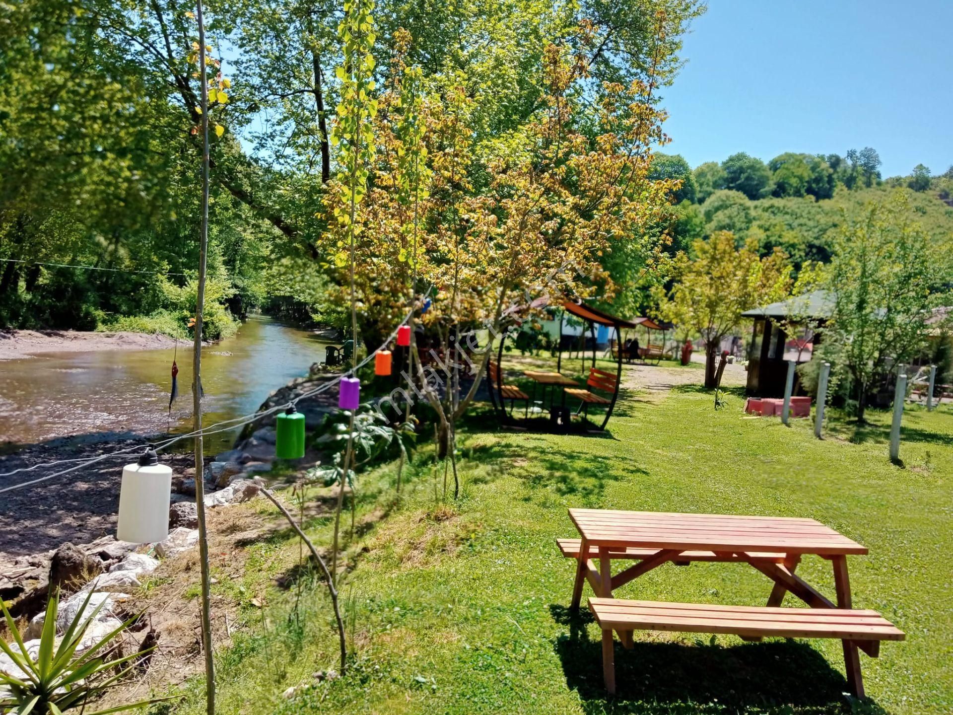 Hayallerinize İnanın Çünkü Onlar Sizi Geleceginize Taşır - Görsel 30