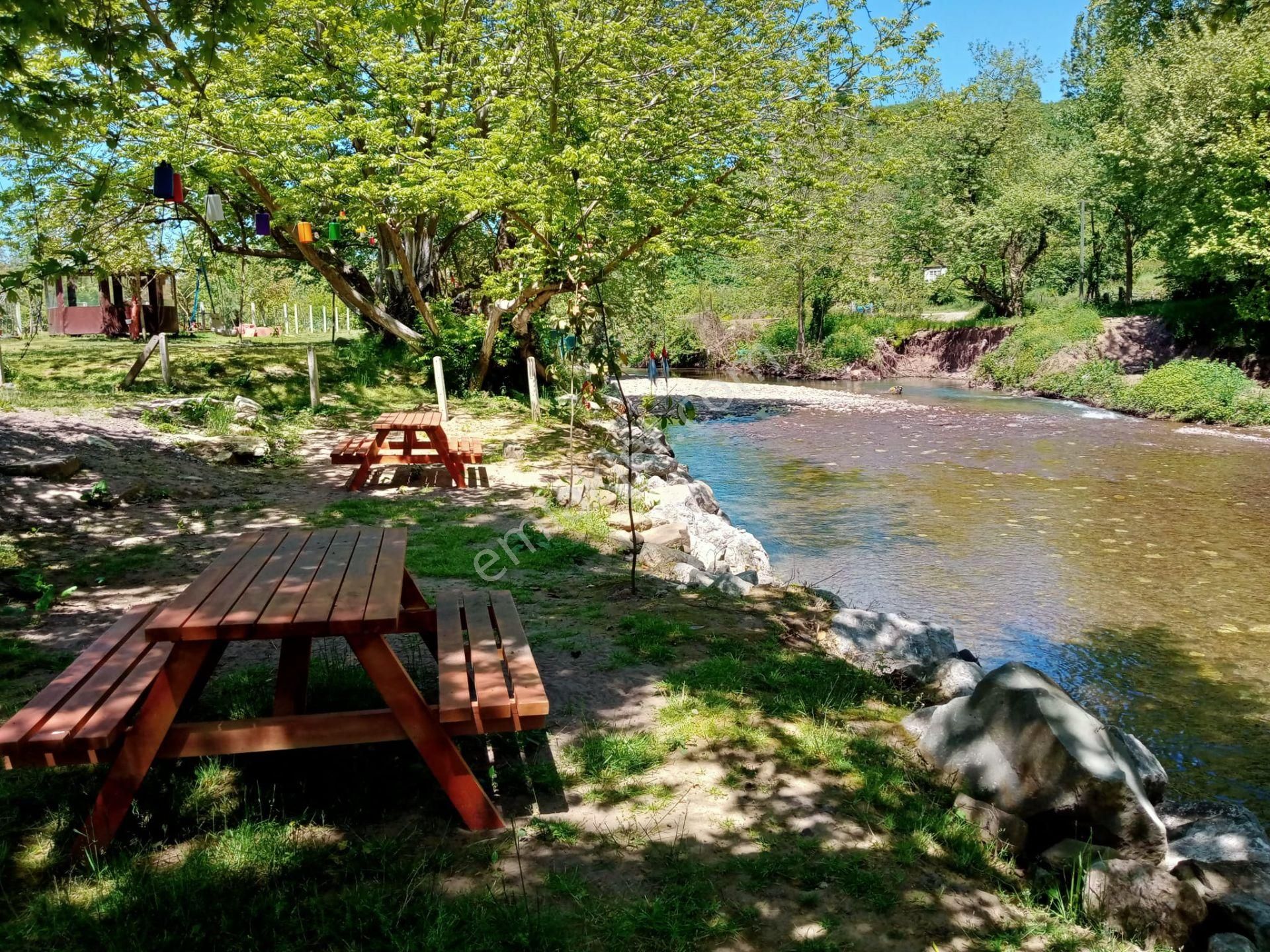 Hayallerinize İnanın Çünkü Onlar Sizi Geleceginize Taşır - Görsel 32