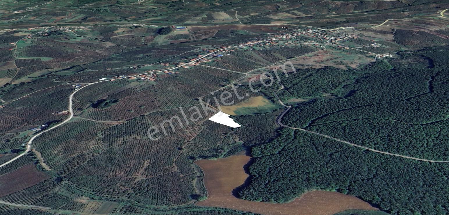 Re/max Hür' Den Ferizli Nalköy'de Yatırımlık Parsel - Görsel 7