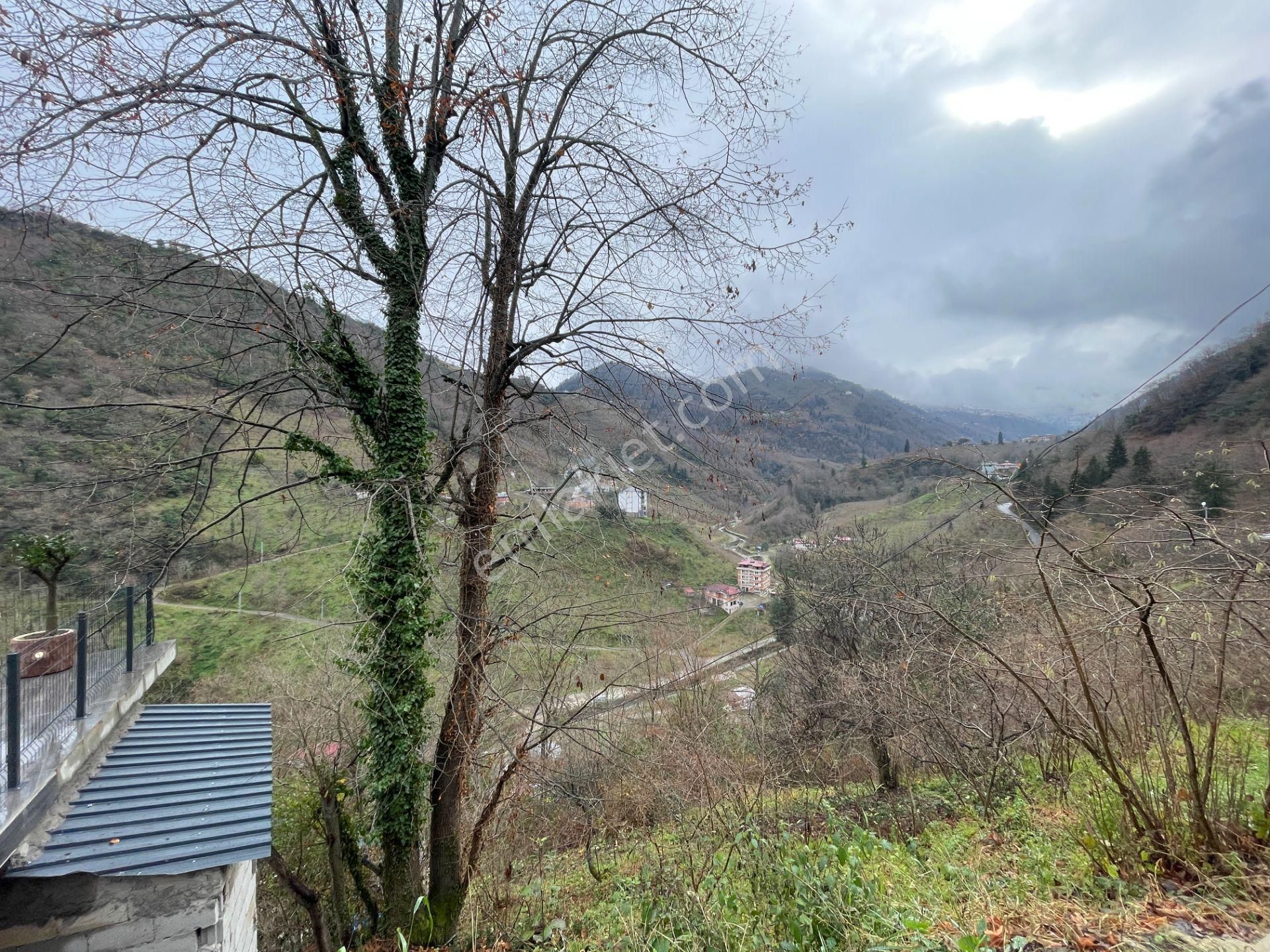 Trabzon Yomra'da Doğayla İç İçe Satılık Müstakil Ev - Görsel 2