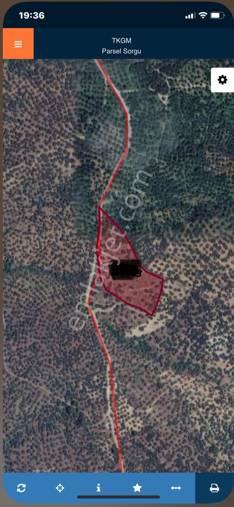 Olcaysu'dan Kadastro Yoluna Cephe, 7719m2 Verimli Zeytinlik!