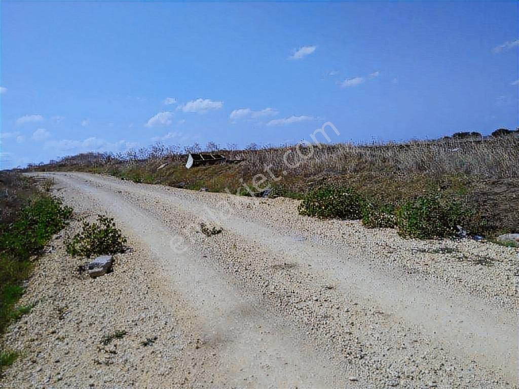 Silivri Fenerköy'de 5.561 M2 Satılık Müstakil Arsa