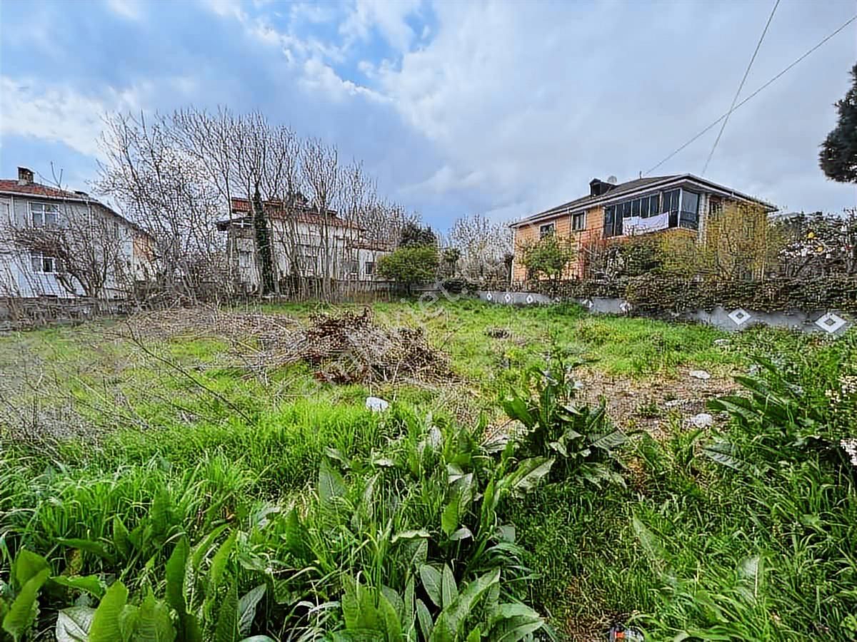 Büyükçekmece Kamiloba E-5 Yoluna Yakın Satılık Konut İmarlı Arsa - Görsel 2