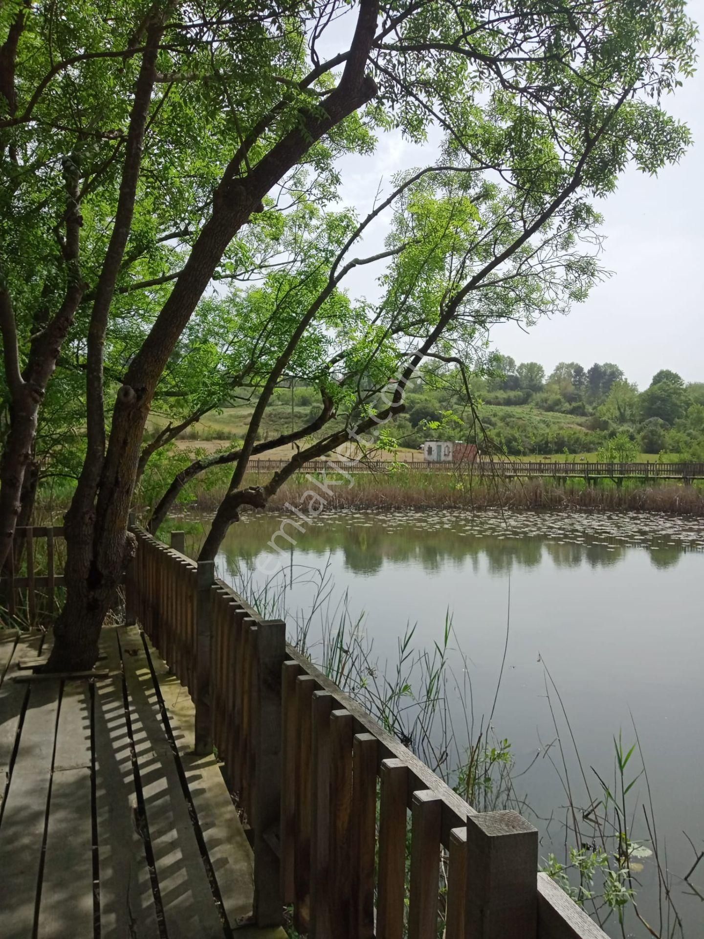 Hayatın Her Anı Hediyedir Çünkü Siz Degerlisiniz - Görsel 34