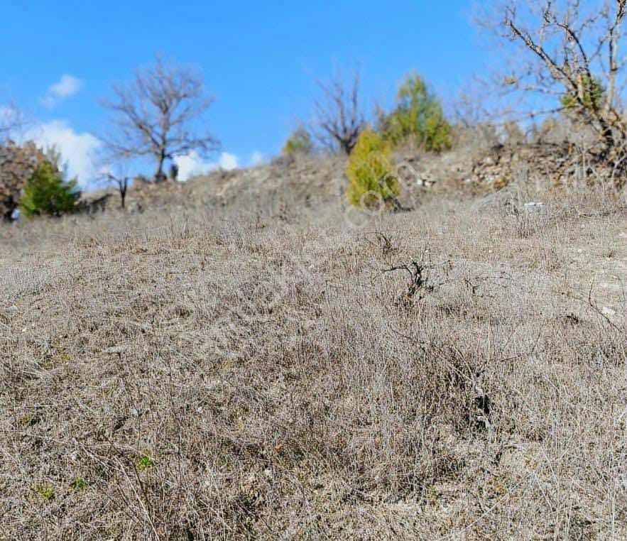 Megeden Orhanelinde Satılık Müstakil Tarla - Görsel 8