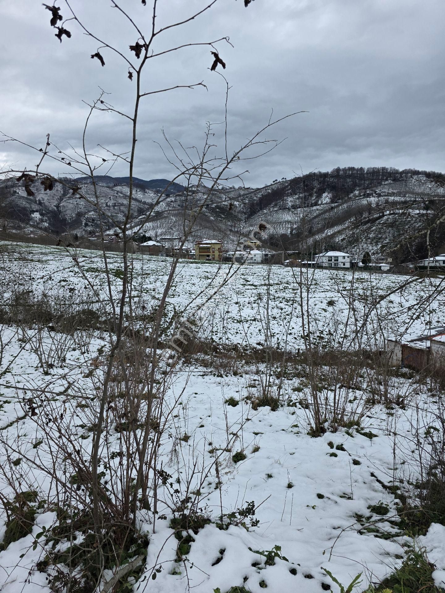 Sakarya Akyazı Kuzulukda 10 Dönüm Muhteşem Arazi