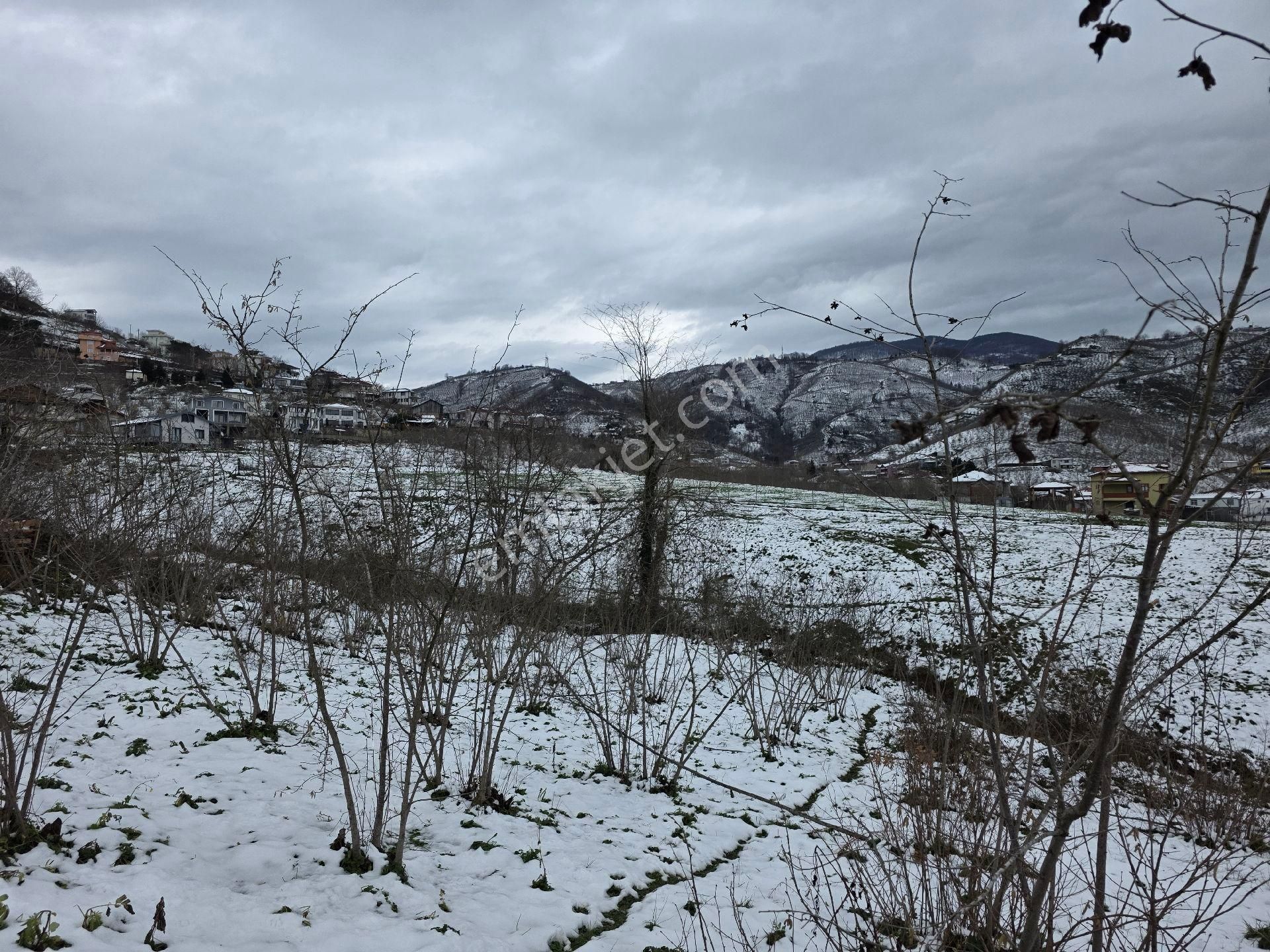 Sakarya Akyazı Kuzulukda 10 Dönüm Muhteşem Arazi - Görsel 6