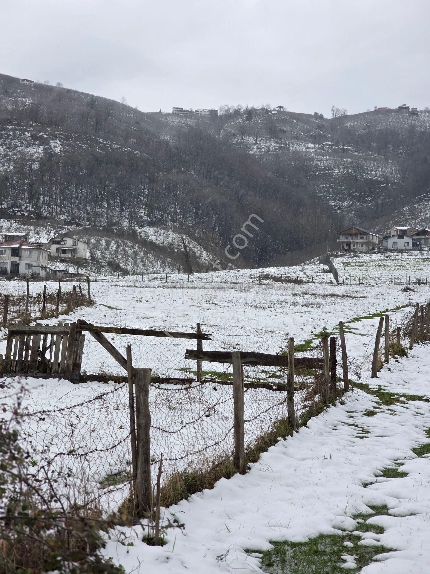 Sakarya Akyazı Kuzulukda 10 Dönüm Muhteşem Arazi - Görsel 17