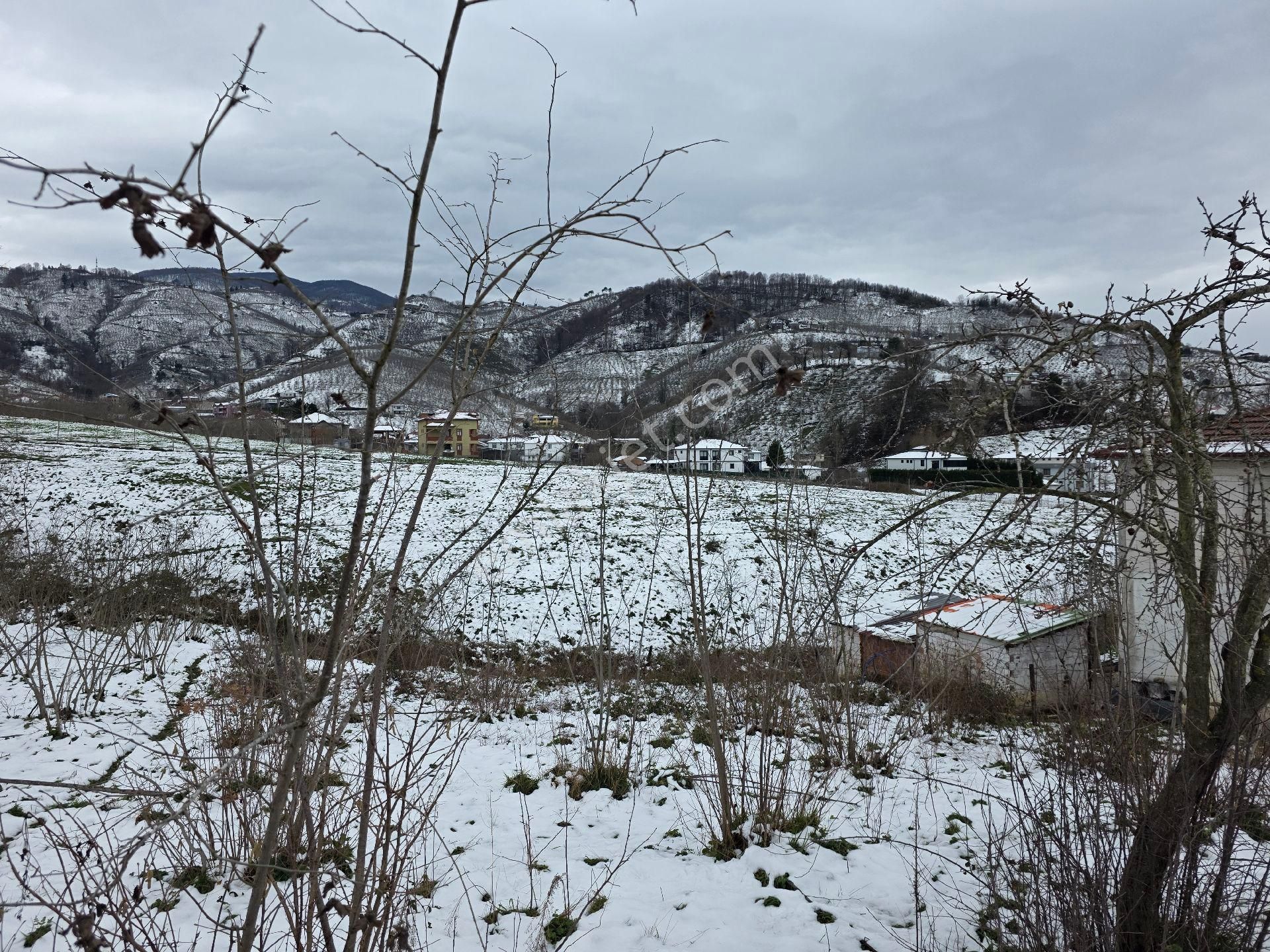 Sakarya Akyazı Kuzulukda 10 Dönüm Muhteşem Arazi - Görsel 5
