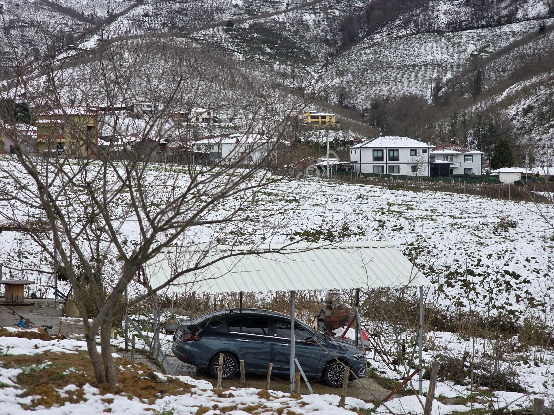 Sakarya Akyazı Kuzulukda 10 Dönüm Muhteşem Arazi - Görsel 10