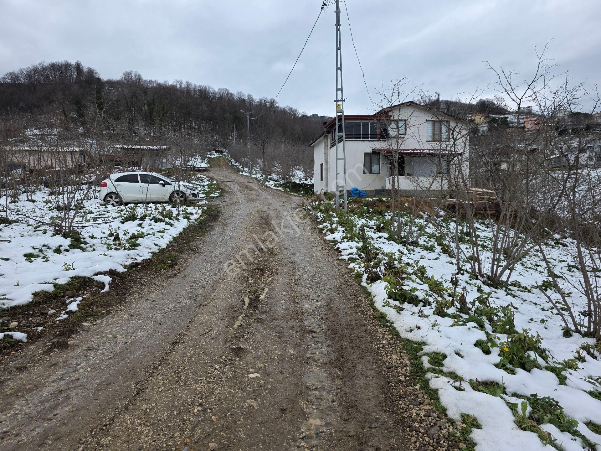 Sakarya Akyazı Kuzulukda 10 Dönüm Muhteşem Arazi - Görsel 3