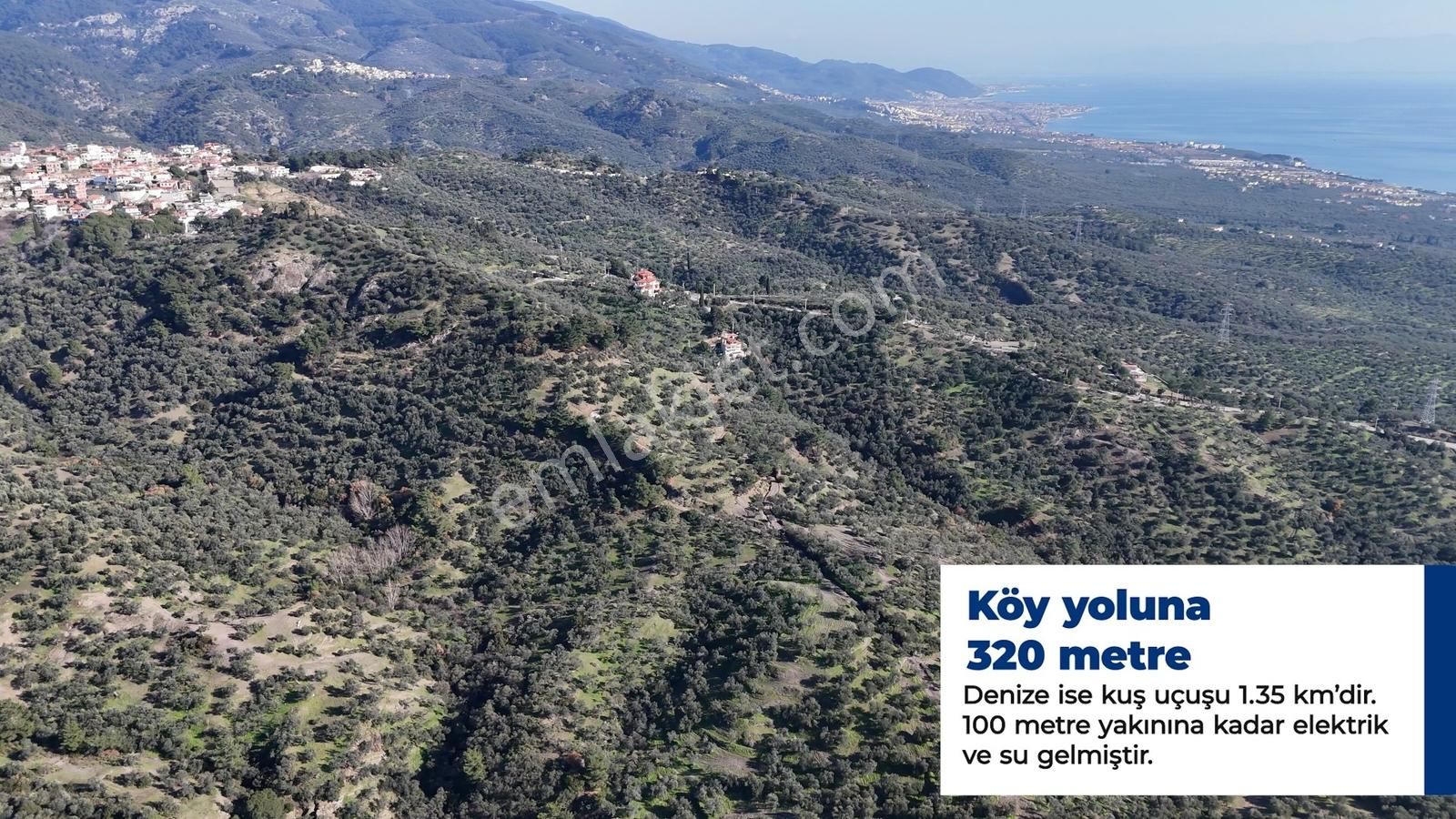 Narlı Köyünde | Yüksek Verim | 22.664m2 Zeytinlik - Görsel 19