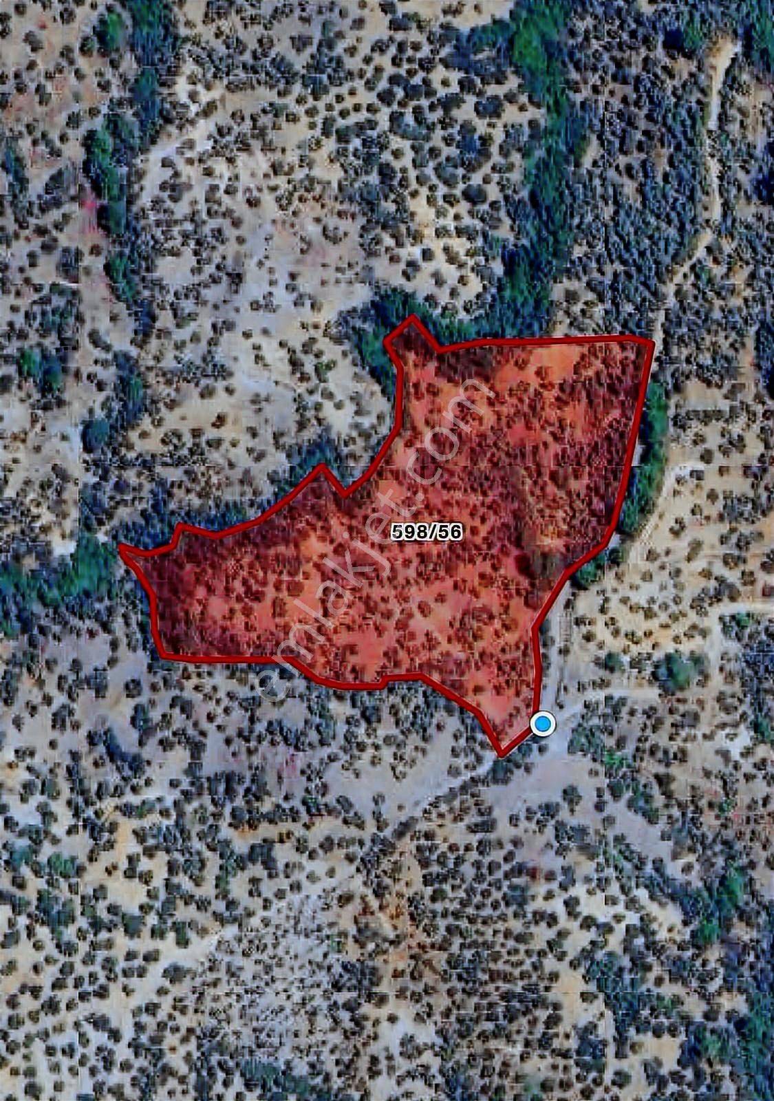 Narlı Köyünde | Yüksek Verim | 22.664m2 Zeytinlik - Görsel 16