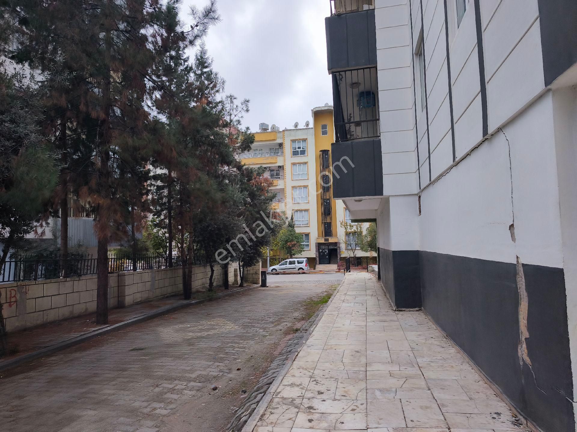 Tosun Emlak Tan - Görsel 6