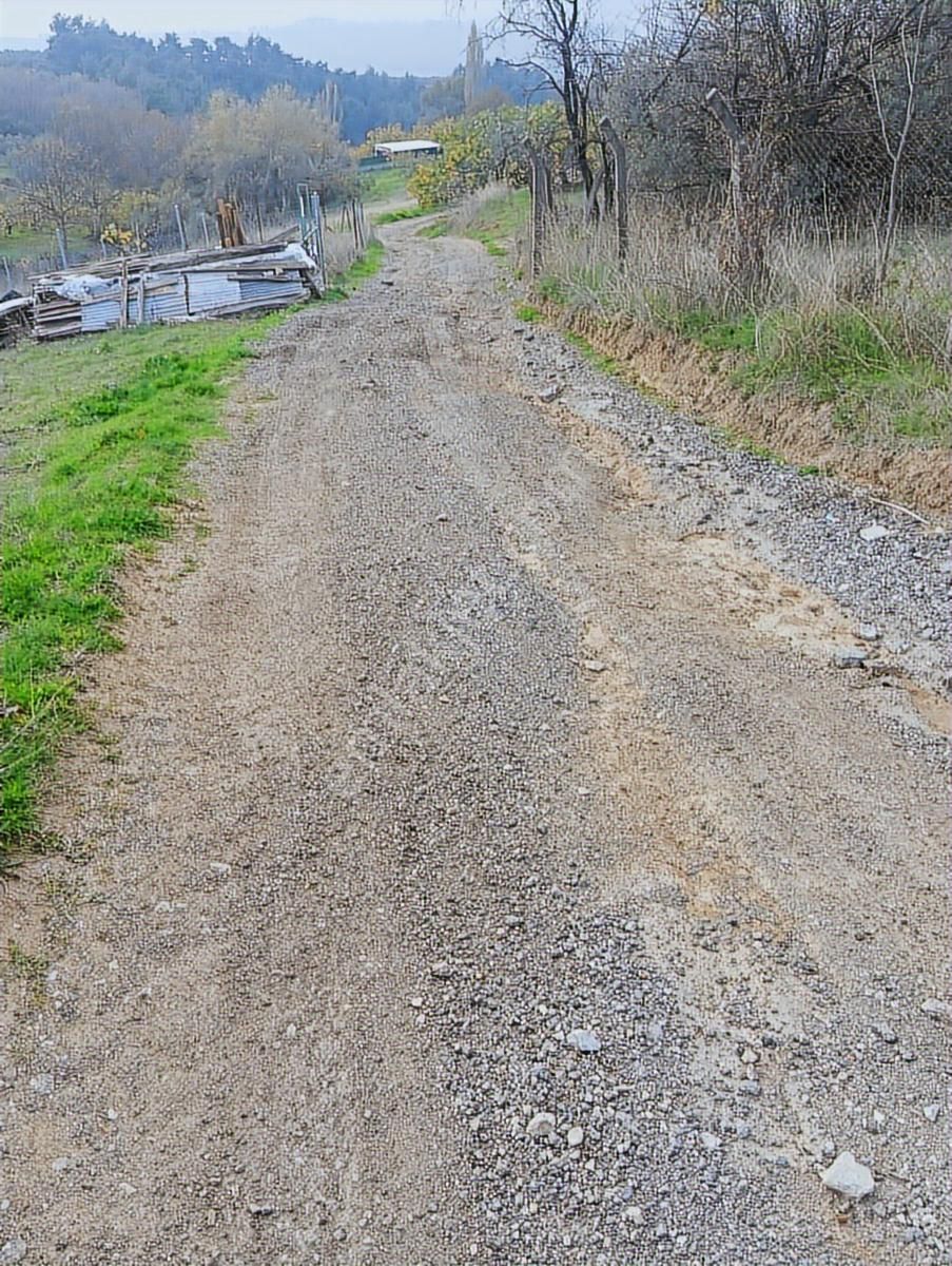 Gündoğdunun İçinde Satılık Tek Tapu Tarla Elektrik Su Var