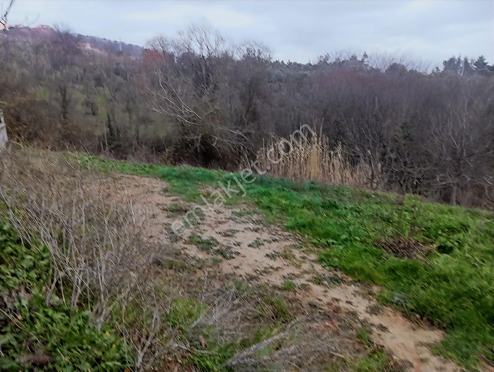 Gündoğdunun İçinde Satılık Tek Tapu Tarla Elektrik Su Var - Görsel 3