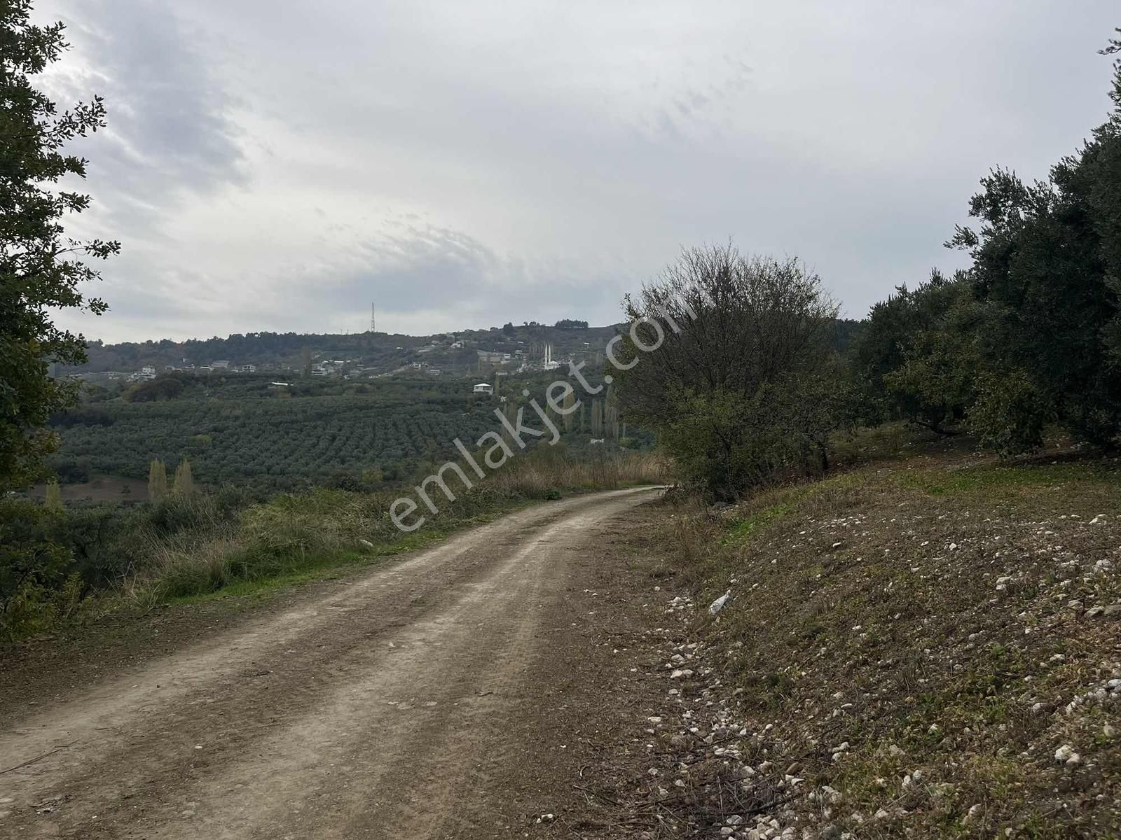 4.450m2 Çepni'ye 500 Mt. Yola Cephe , Ormana Sınır ,fırsat Arazi - Görsel 4