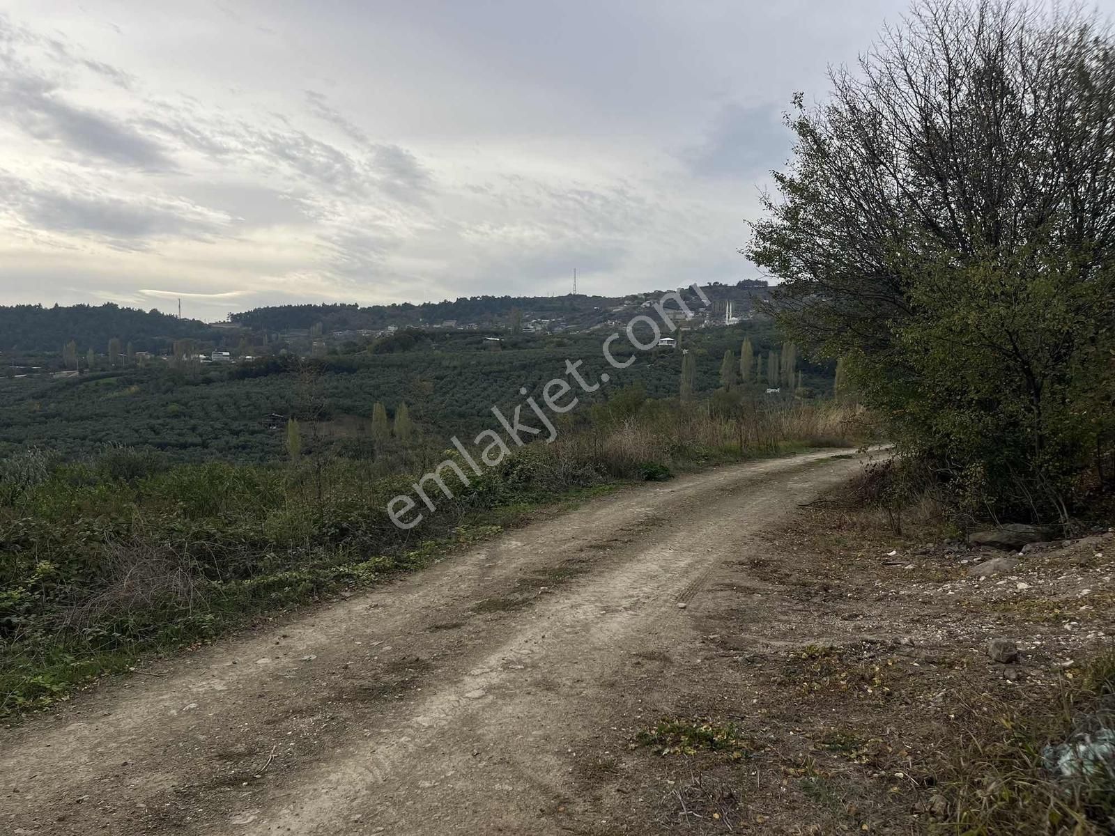 4.450m2 Çepni'ye 500 Mt. Yola Cephe , Ormana Sınır ,fırsat Arazi - Görsel 8