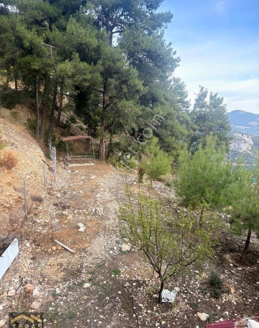 Teras Gayrimenkul'den Belçınar Mahallesinde Satılık Müstakil Ev - Görsel 16