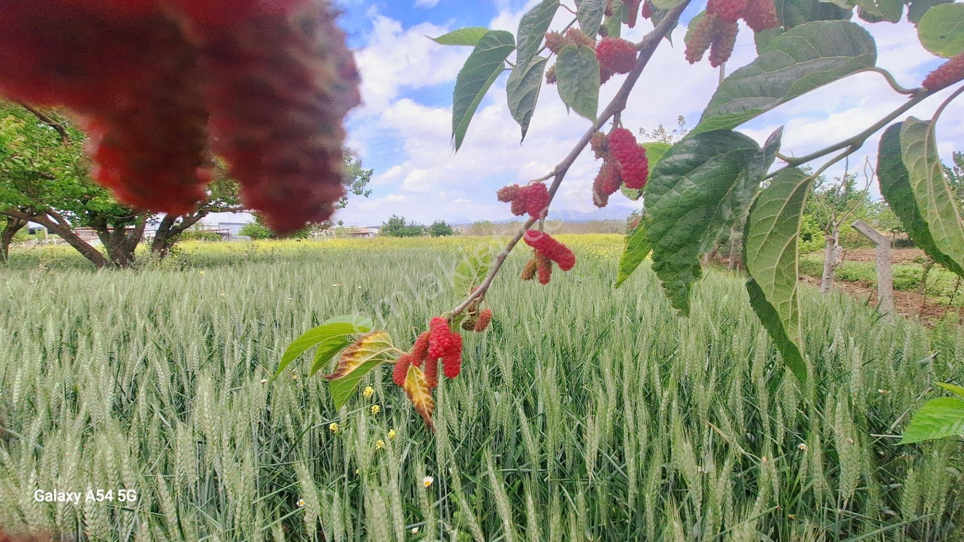 Ayrancılar İnönümahalesinde Düğün Salonlarına Yakın Satılık Tarla - Görsel 9