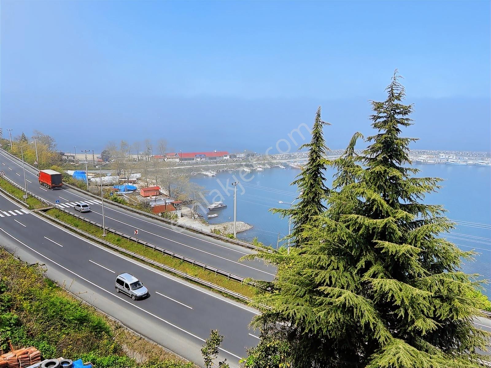 Gülyalı Da Satılık Fındık Bahçesi - Görsel 16