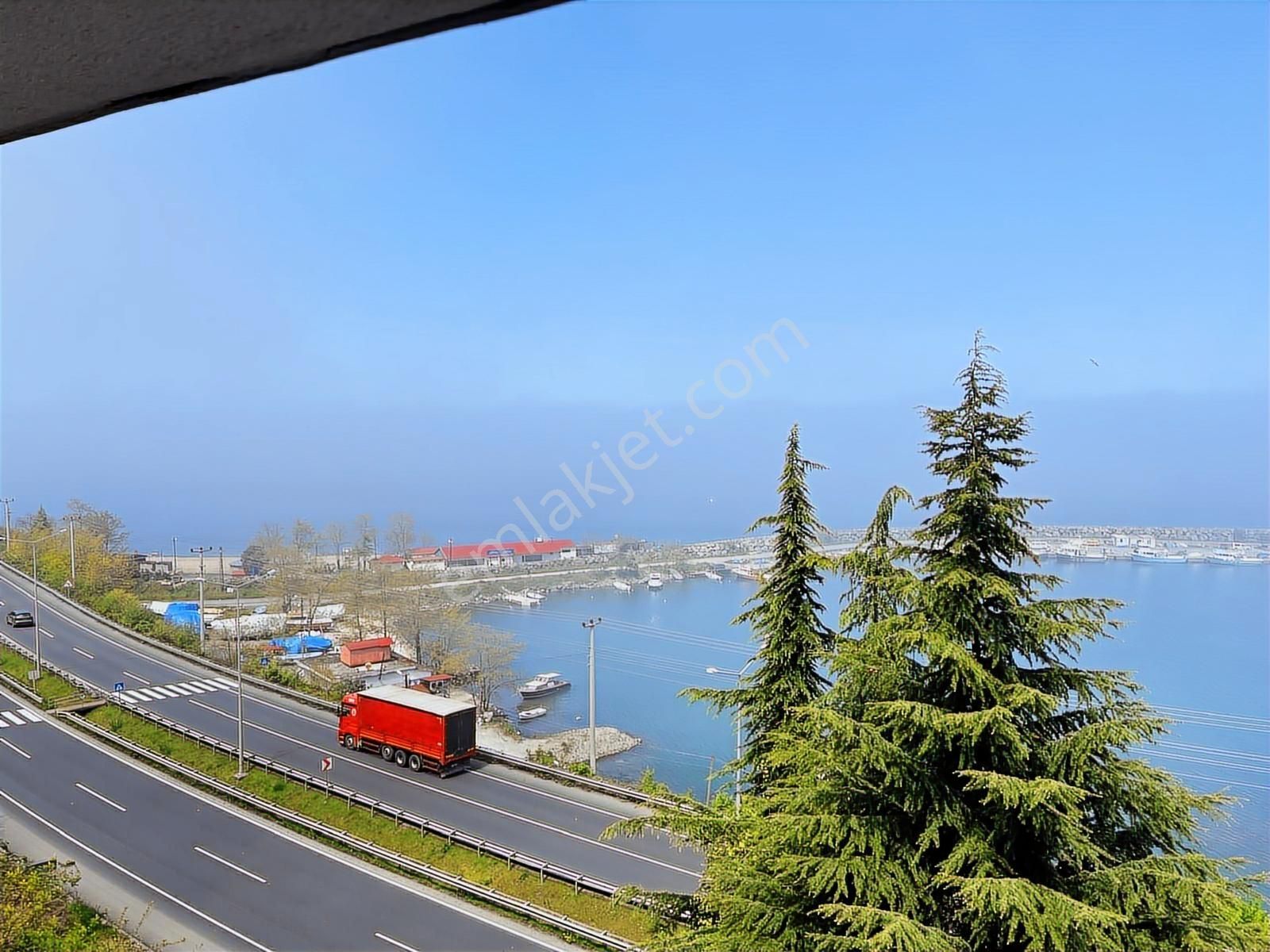 Gülyalı Da Satılık Fındık Bahçesi - Görsel 12