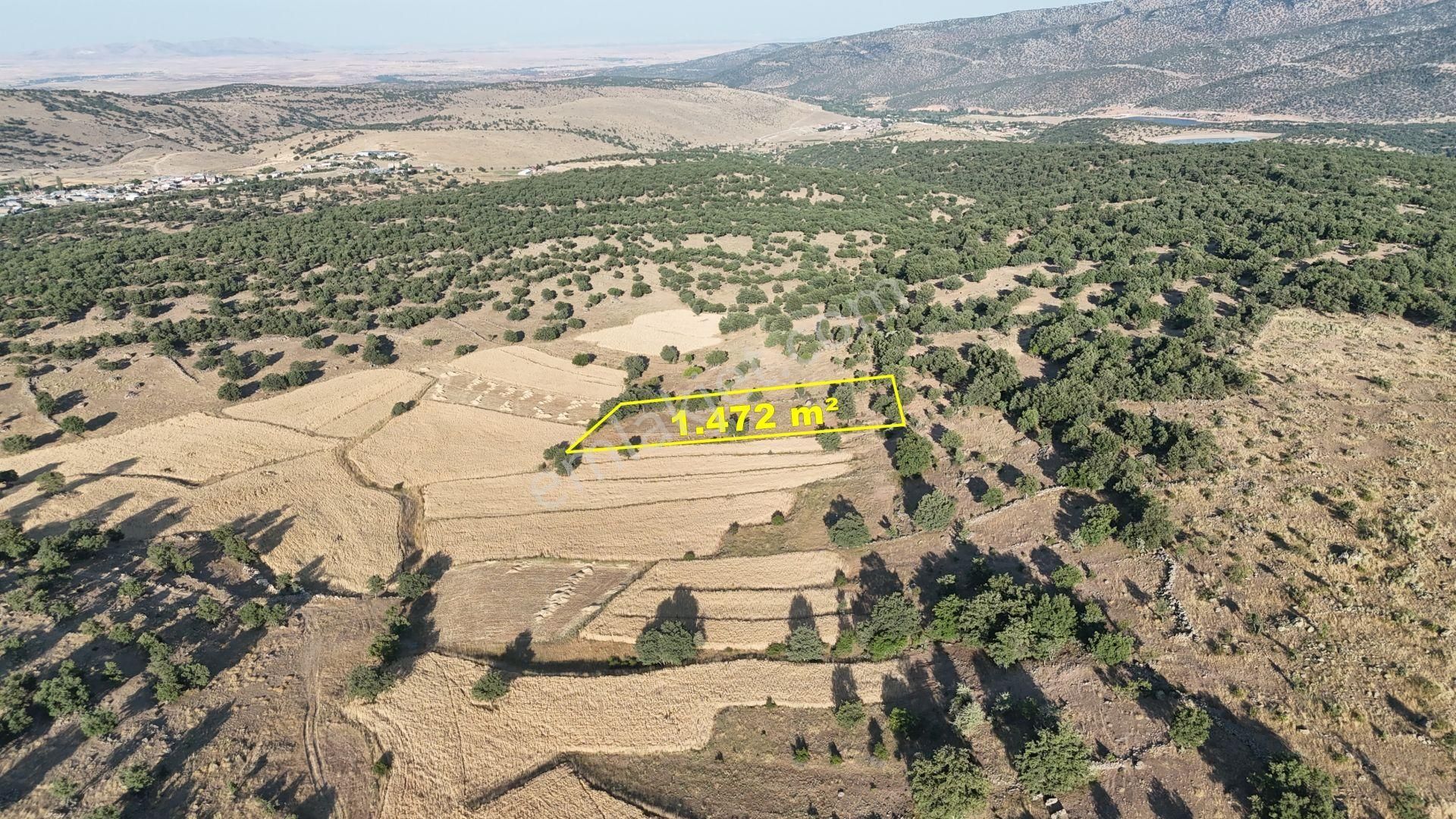 Meram Çukurçimen De 1.472 M2 Müstakil Tapulu Tarla - Görsel 4