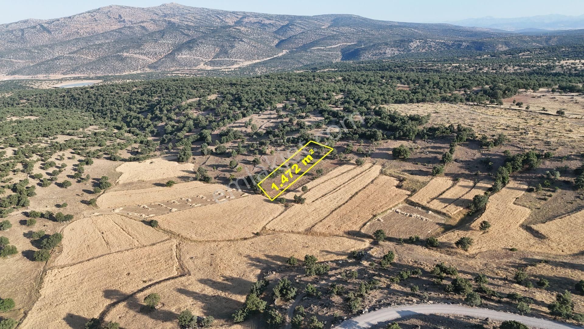 Meram Çukurçimen De 1.472 M2 Müstakil Tapulu Tarla - Görsel 3