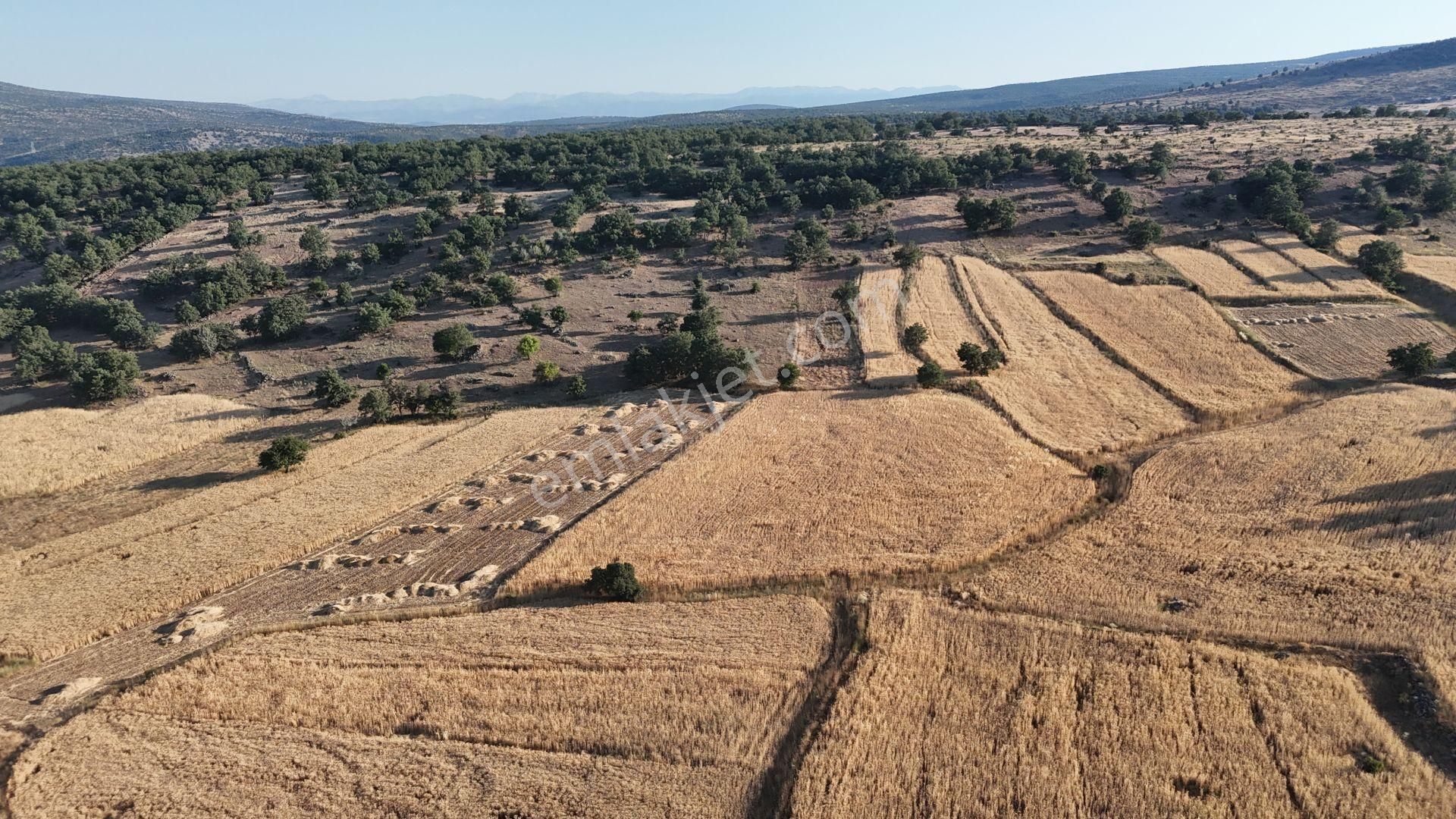 Meram Çukurçimen De 1.472 M2 Müstakil Tapulu Tarla - Görsel 2