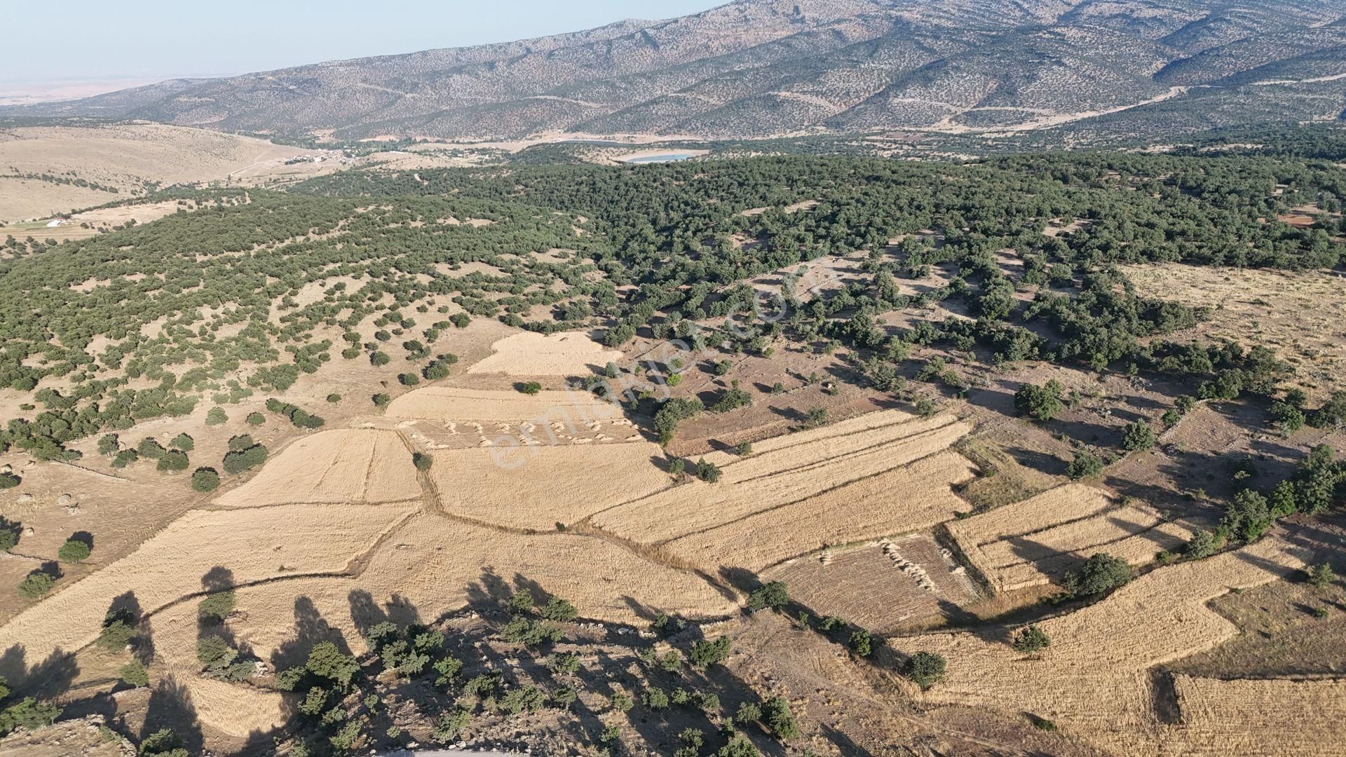 Meram Çukurçimen De 1.472 M2 Müstakil Tapulu Tarla - Görsel 6