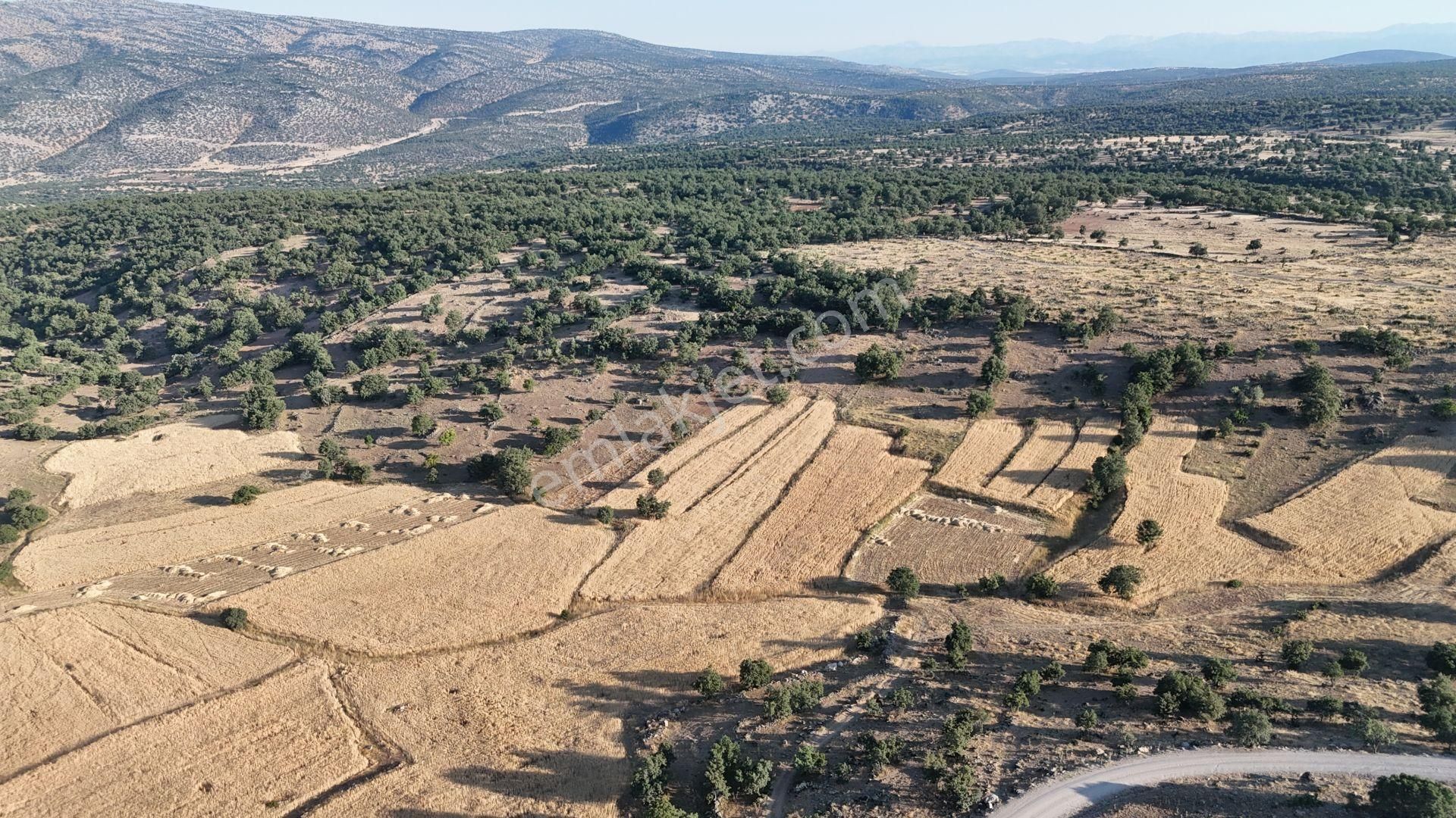 Meram Çukurçimen De 1.472 M2 Müstakil Tapulu Tarla - Görsel 11
